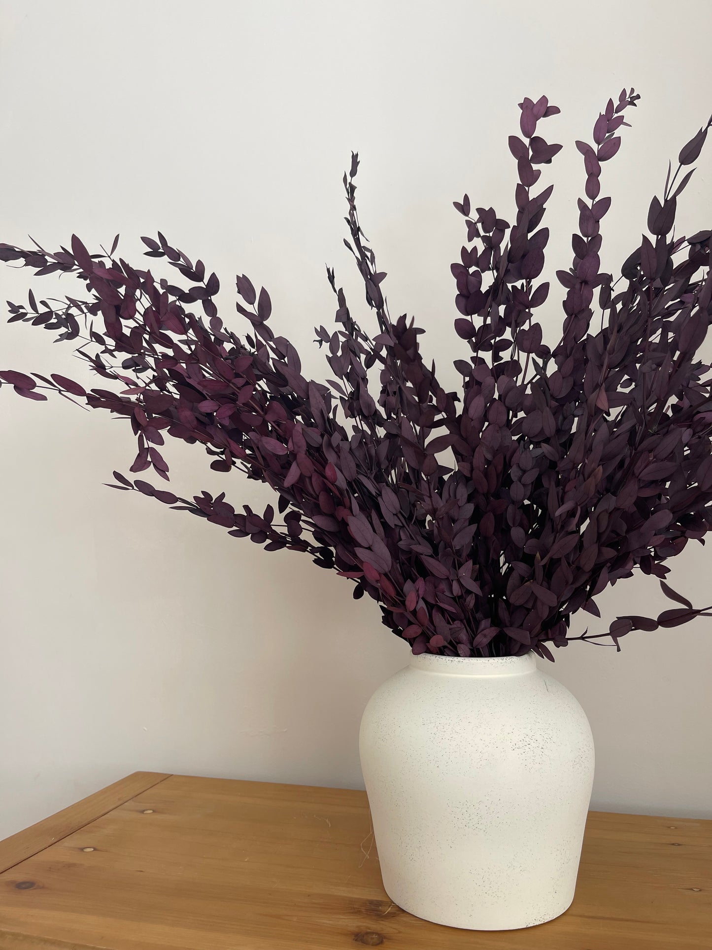 Preserved Eucalyptus Bunch