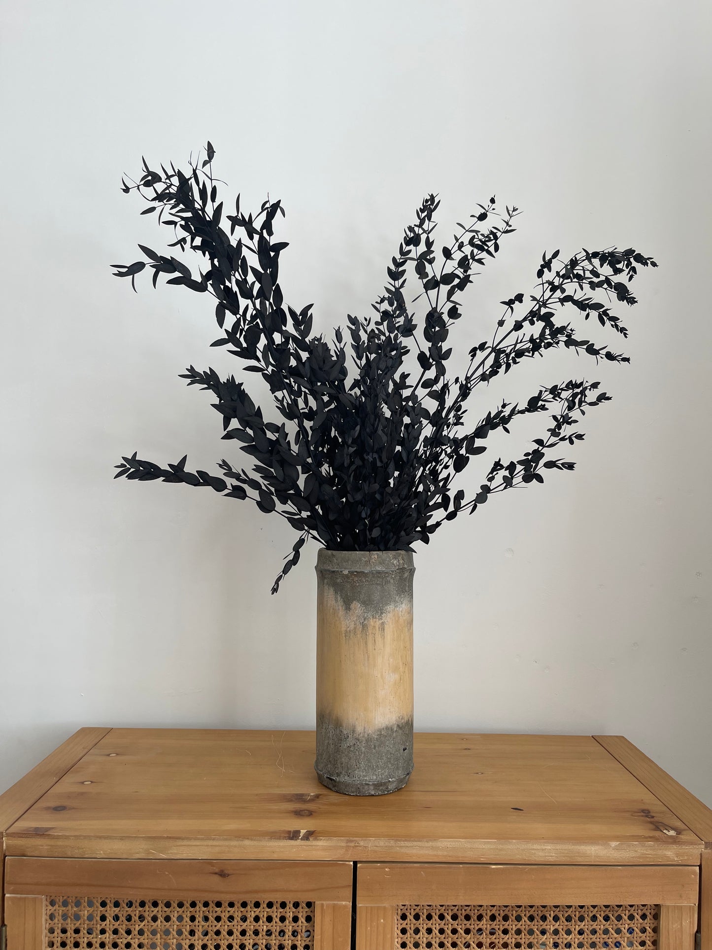 Preserved Eucalyptus Bunch
