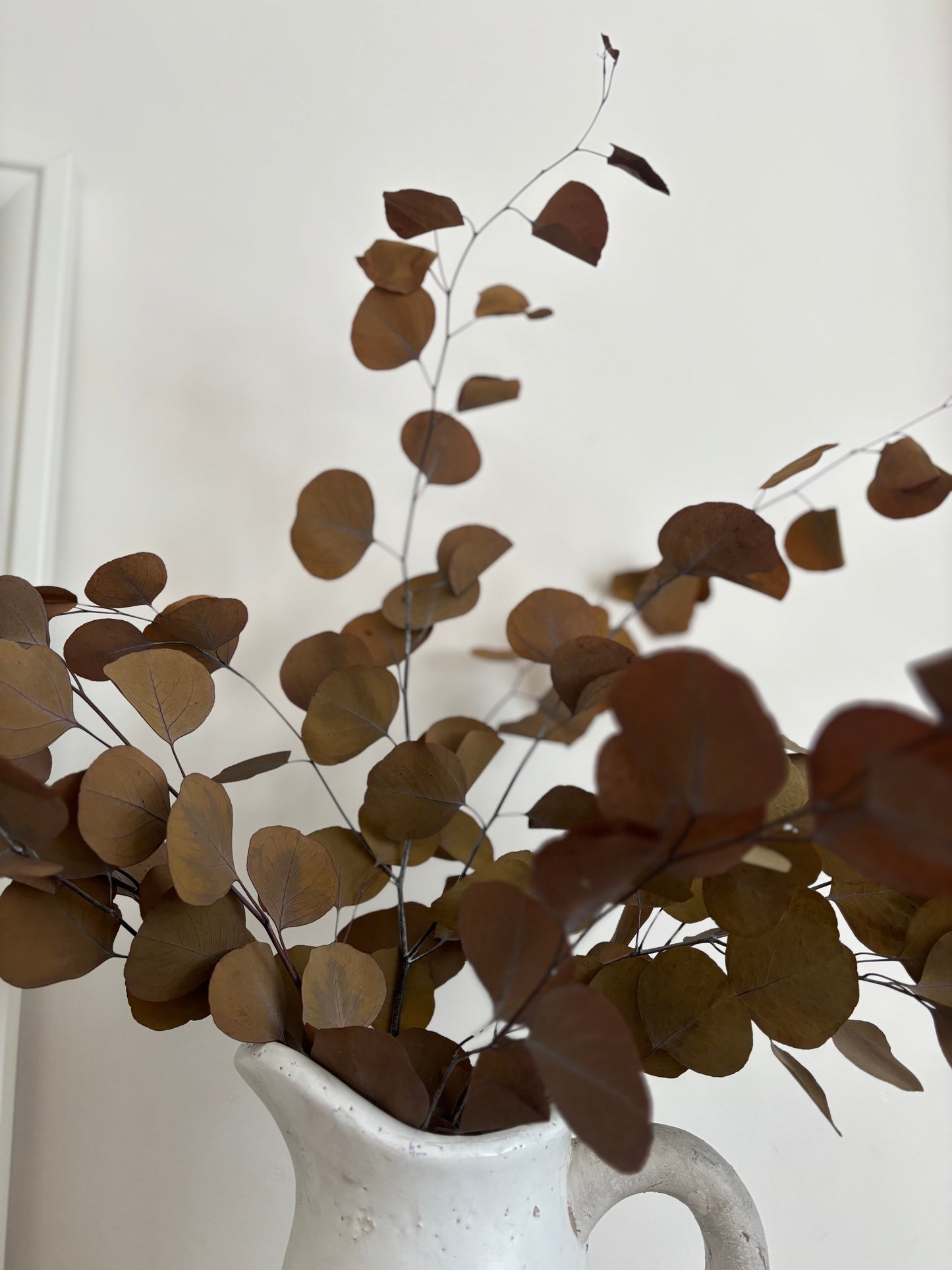 Preserved Green Populus Eucalyptus