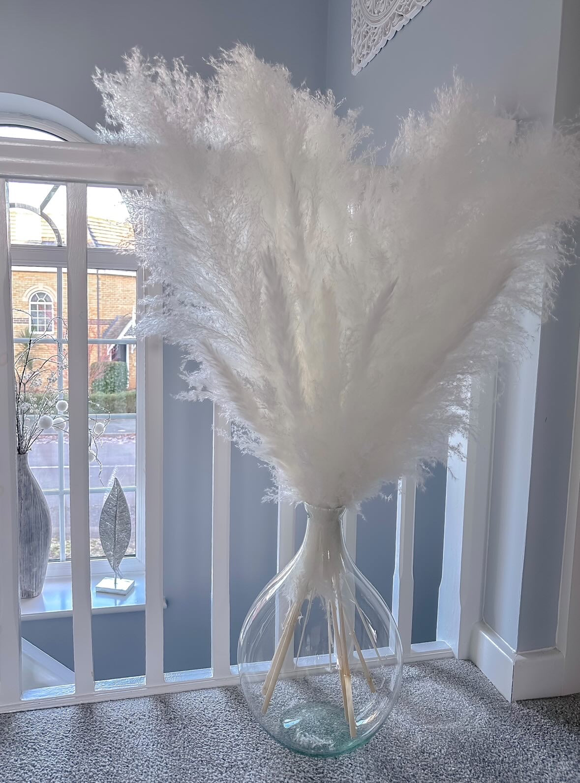 Large White Pampas