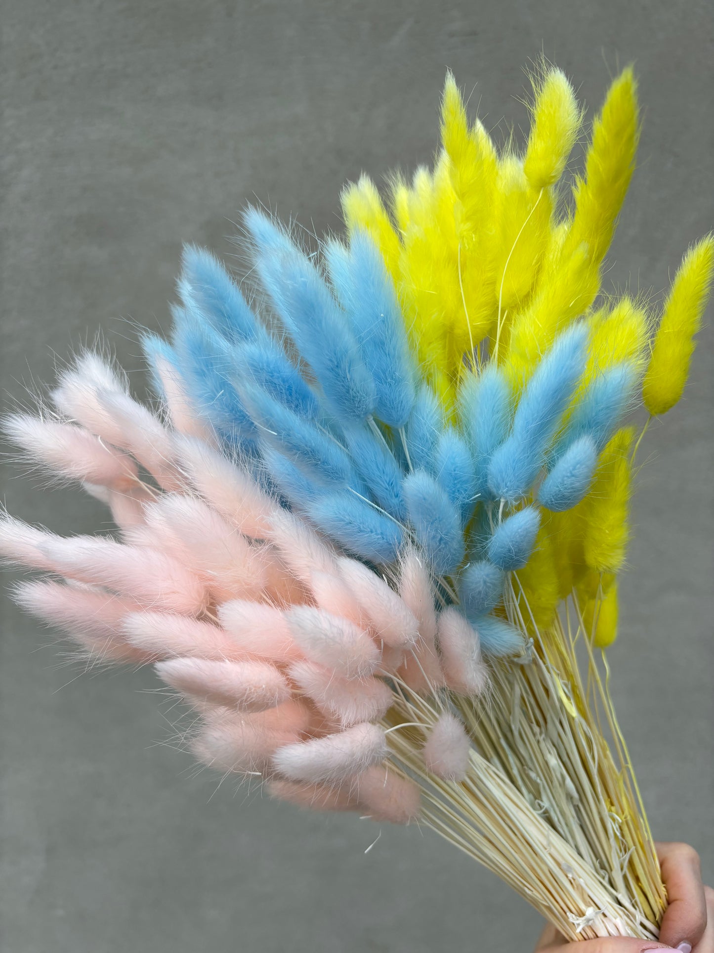 Spring Mixed Bunny Tail Bunch