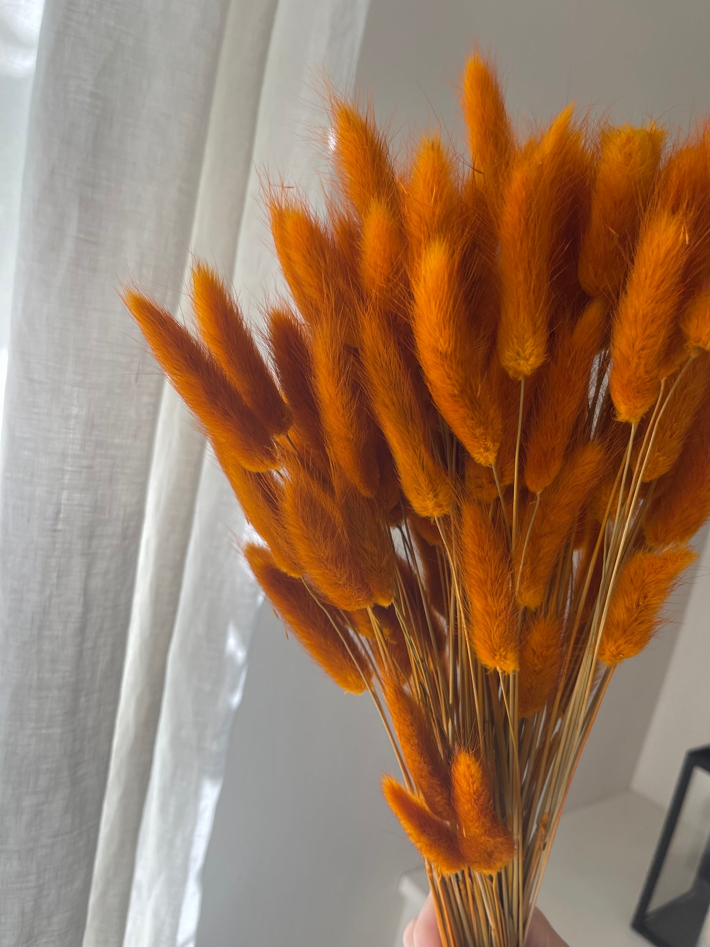 Burnt Orange Bunny Tails