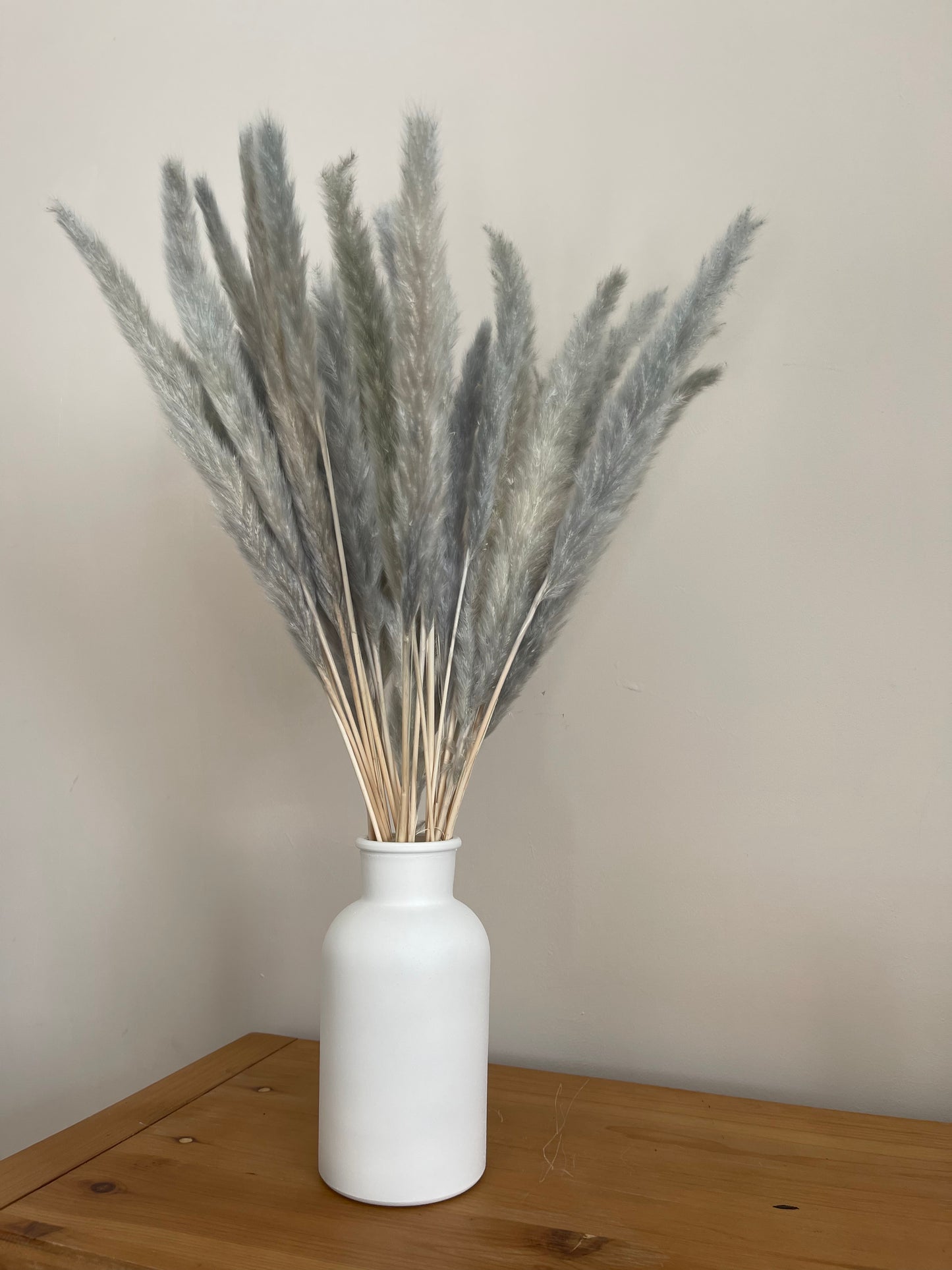 Aqua Grey Small Pampas