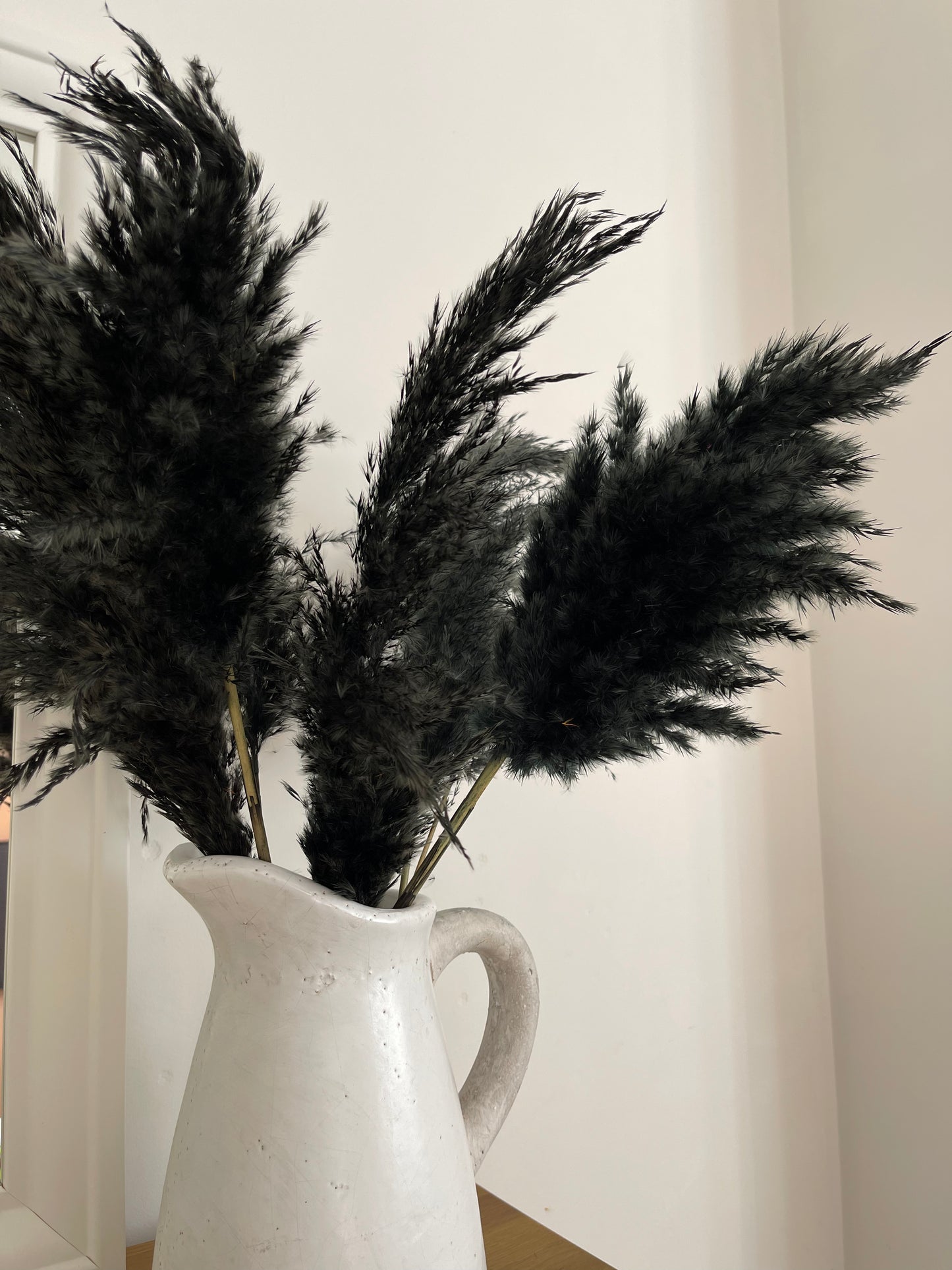 Wild Fluffy Pampas - Black