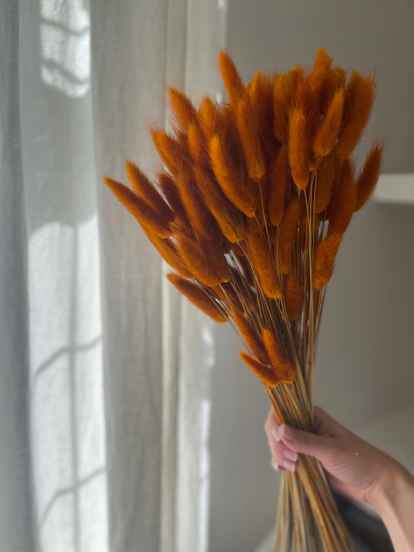 Burnt Orange Bunny Tails