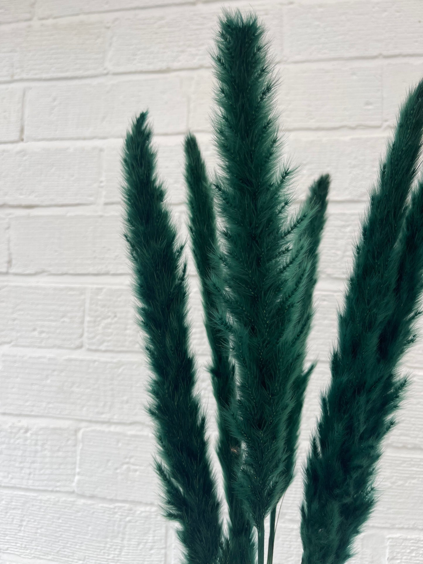 Forest Green Small Pampas