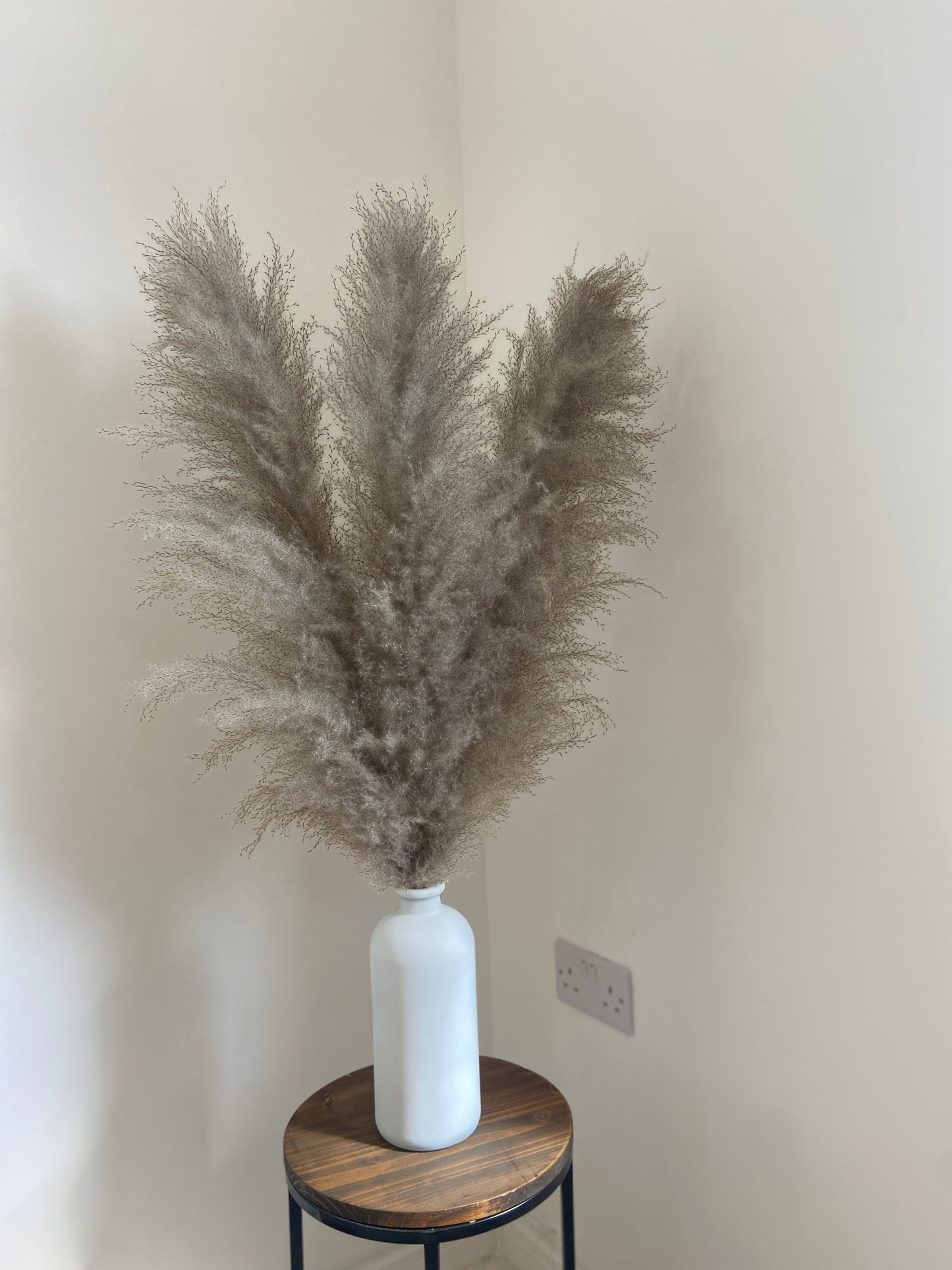 Large white fluffy pampas. Style in a large floor vase or on a console table as a statement piece.