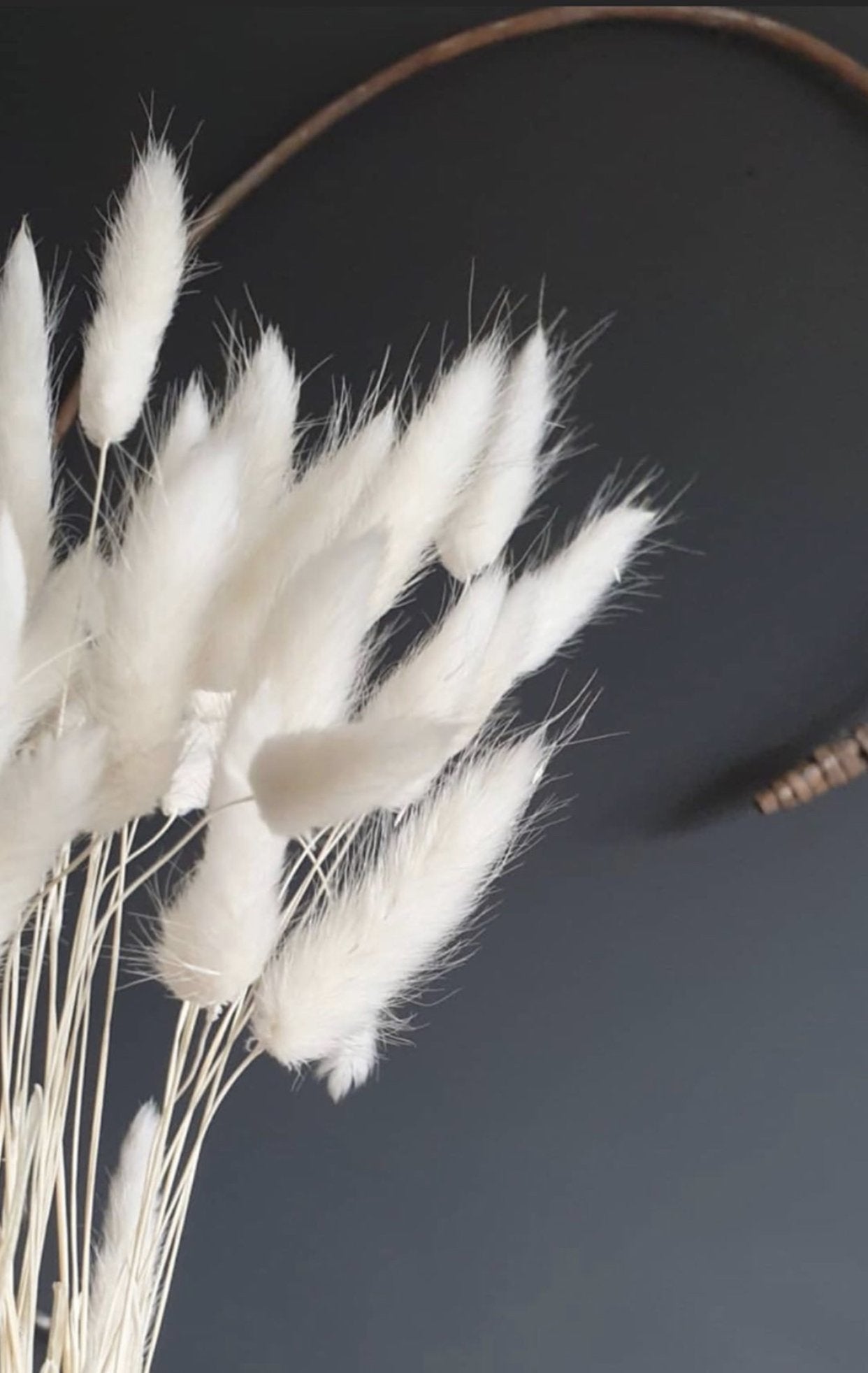 Bleached Bunny Tails