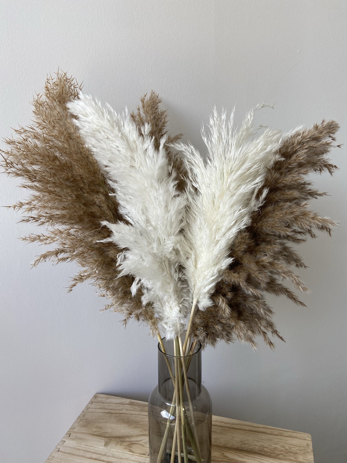 Wild Fluffy Pampas - White & Brown