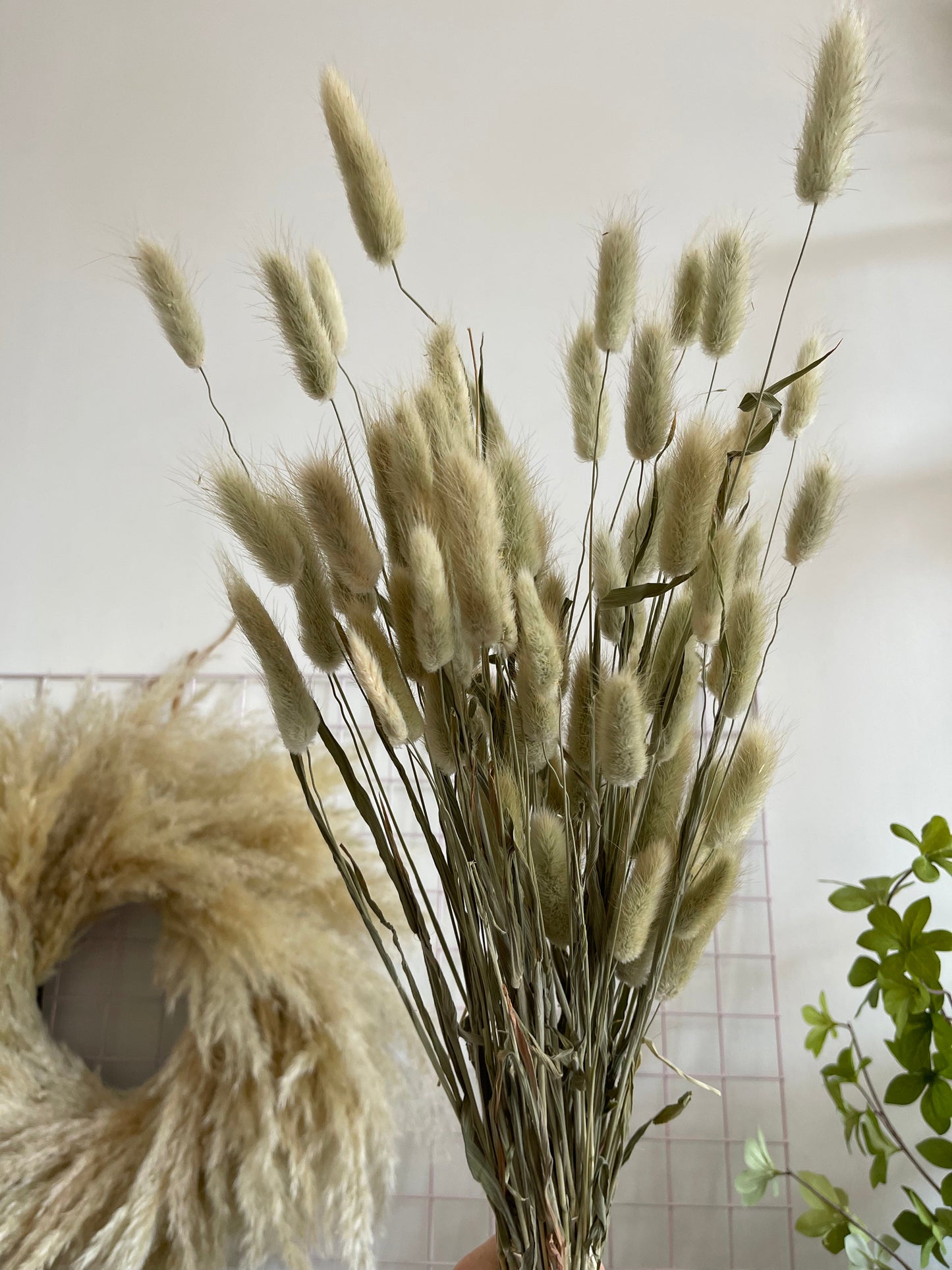 Sage Green Bunny Tails