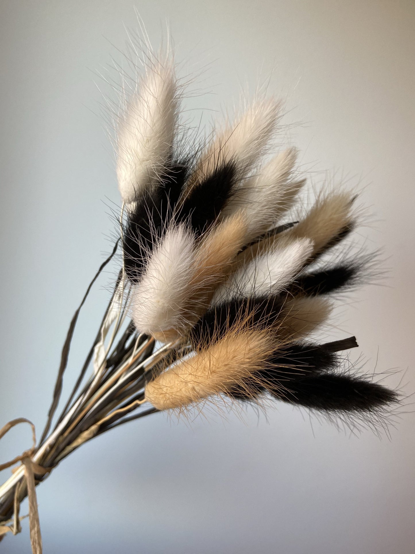 Natural, Bleached & Black Bunny Tails