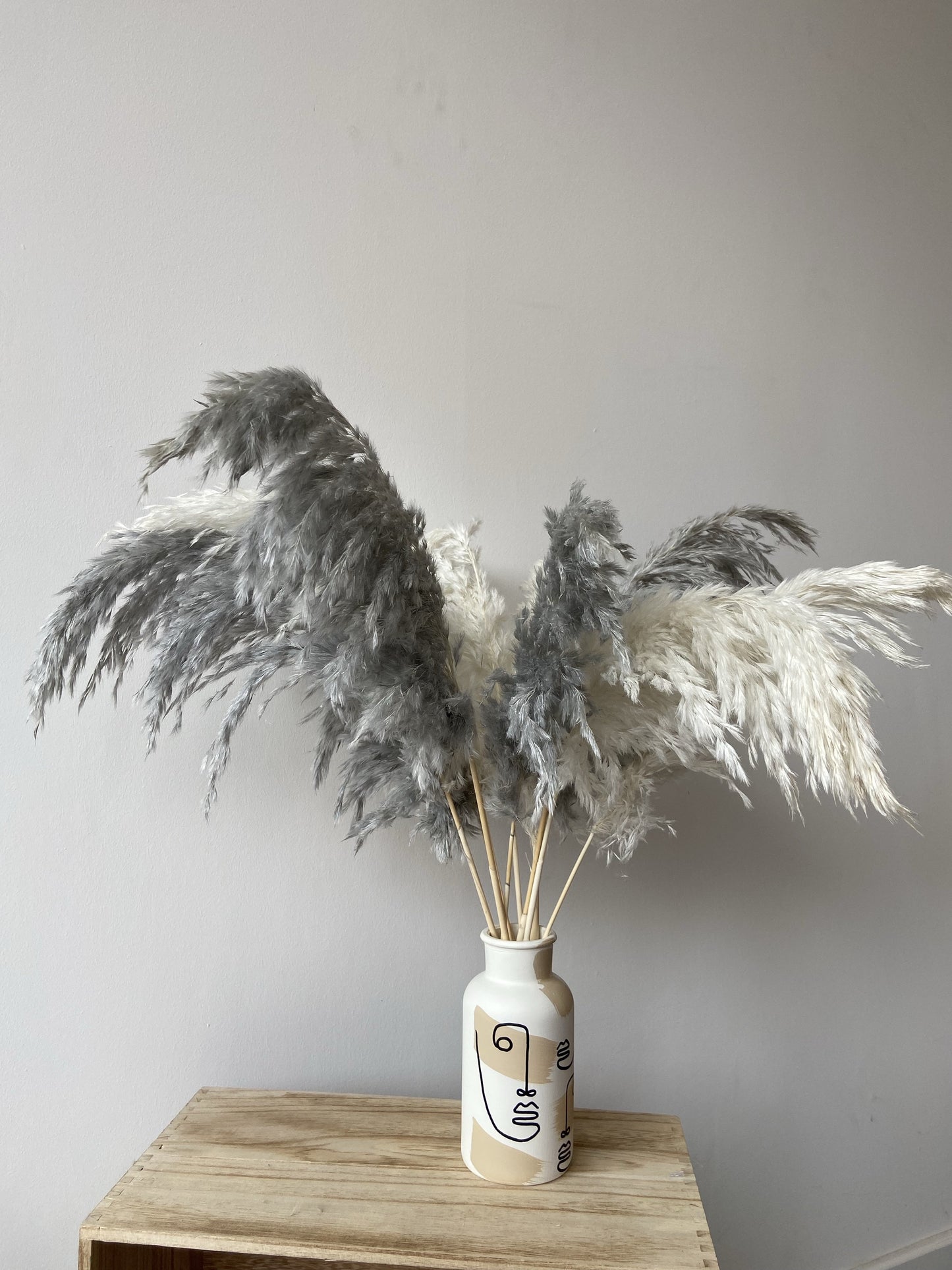 Wild Fluffy Pampas - White & Grey