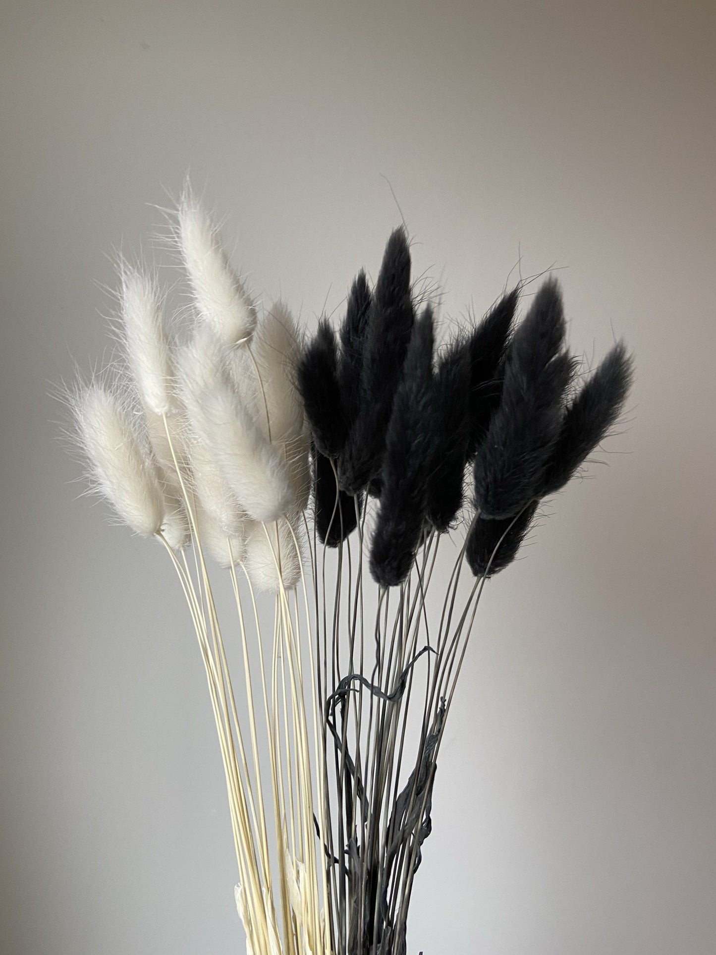 White & Black Bunny Tails