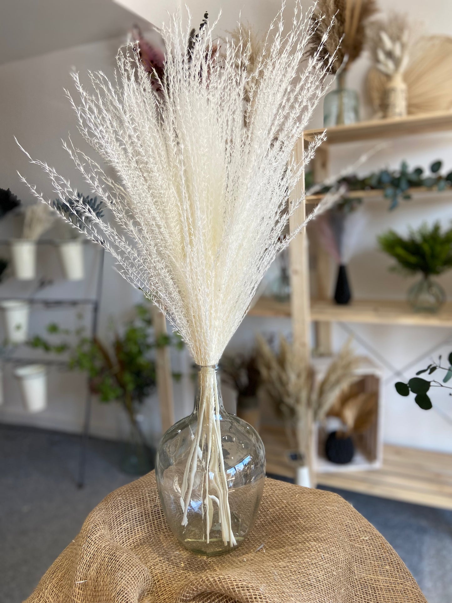 Horsetail Whisk