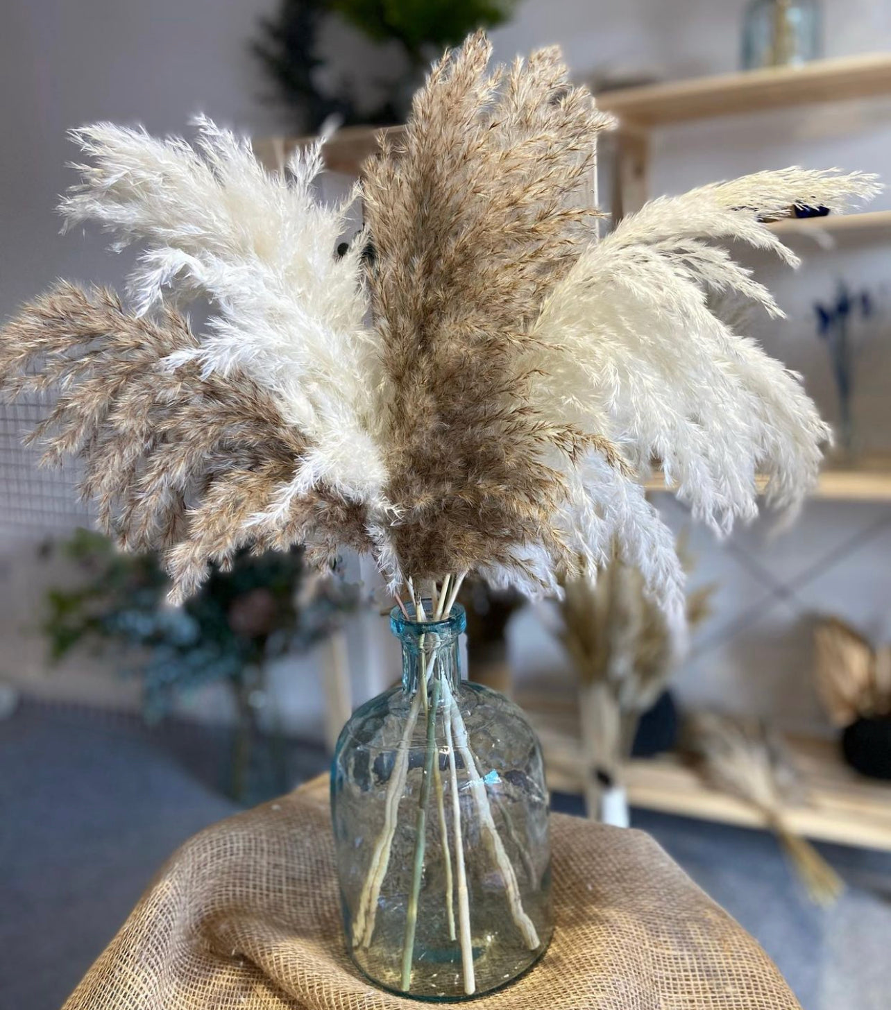 Wild Fluffy Pampas - White & Brown