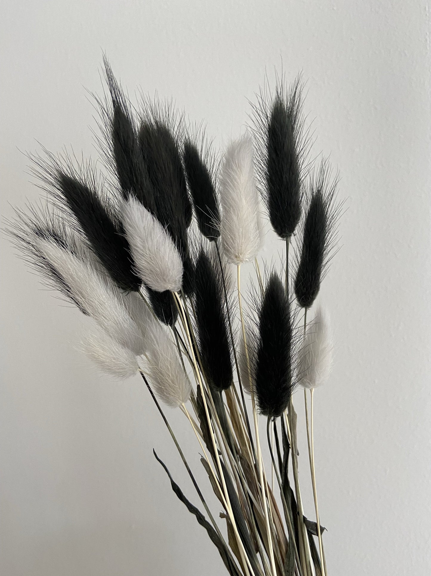 Grey & Black Bunny Tails