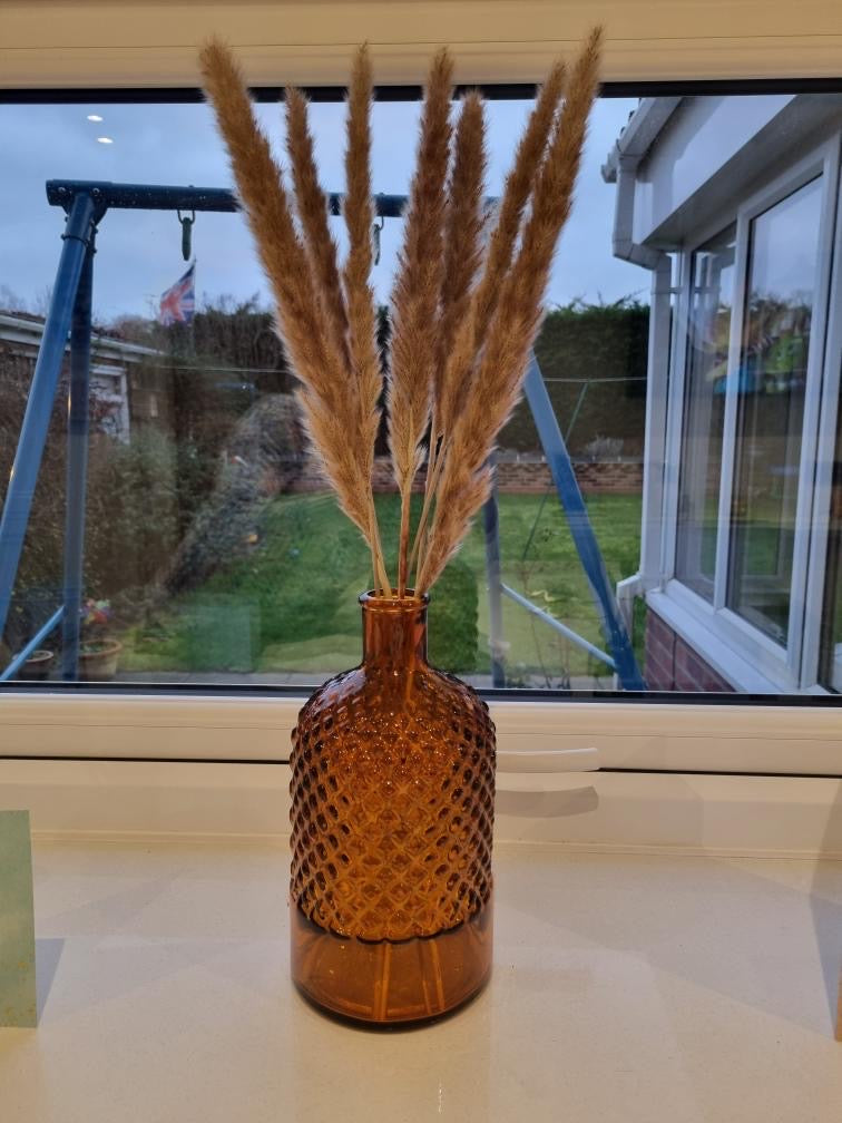 Small Natural Pampas