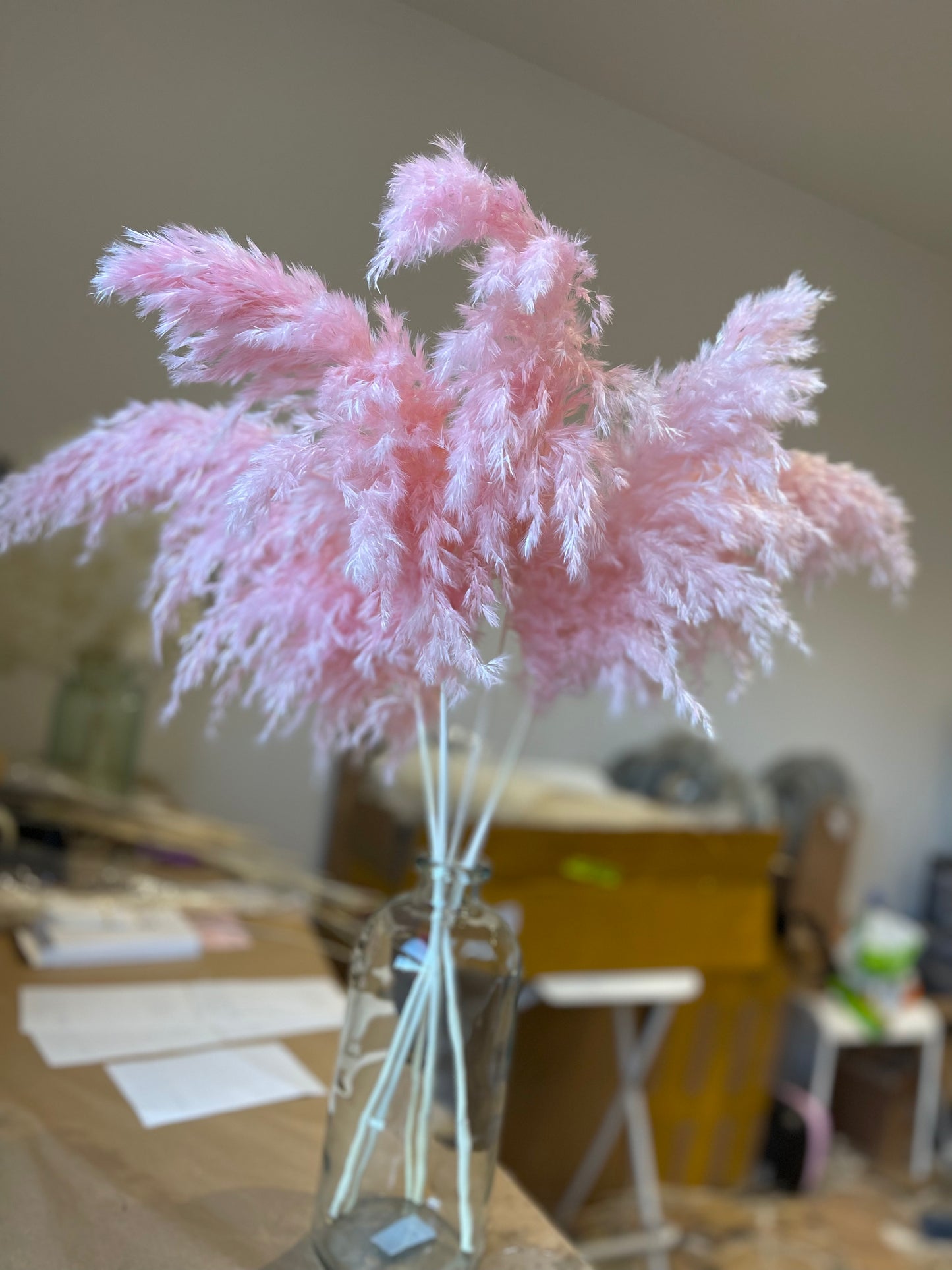Wild Fluffy Pampas - Pink