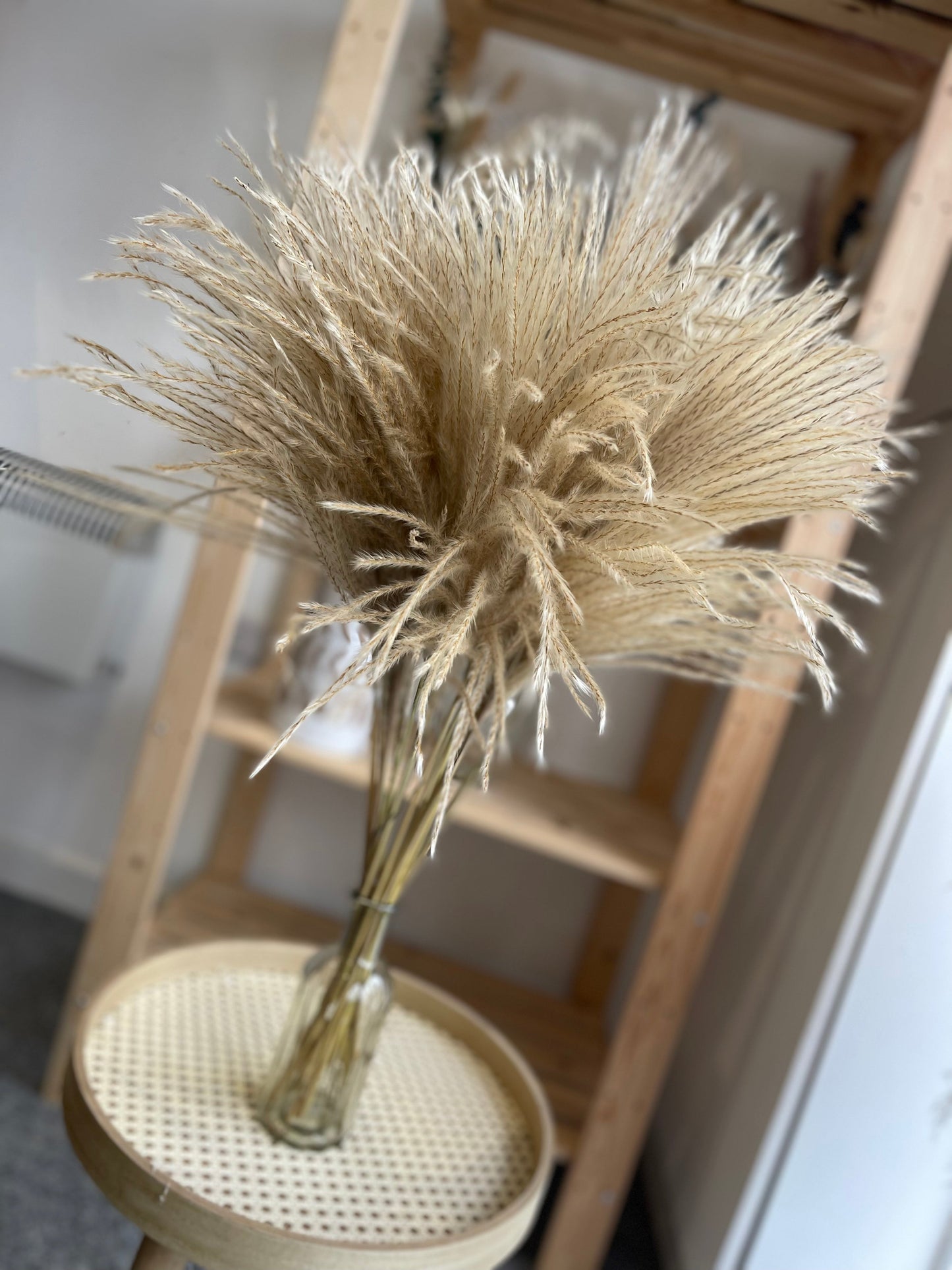 Horsetail Whisk