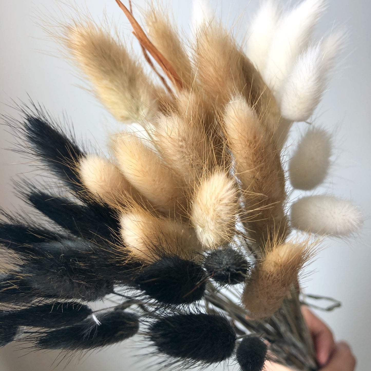 Natural, Bleached & Black Bunny Tails