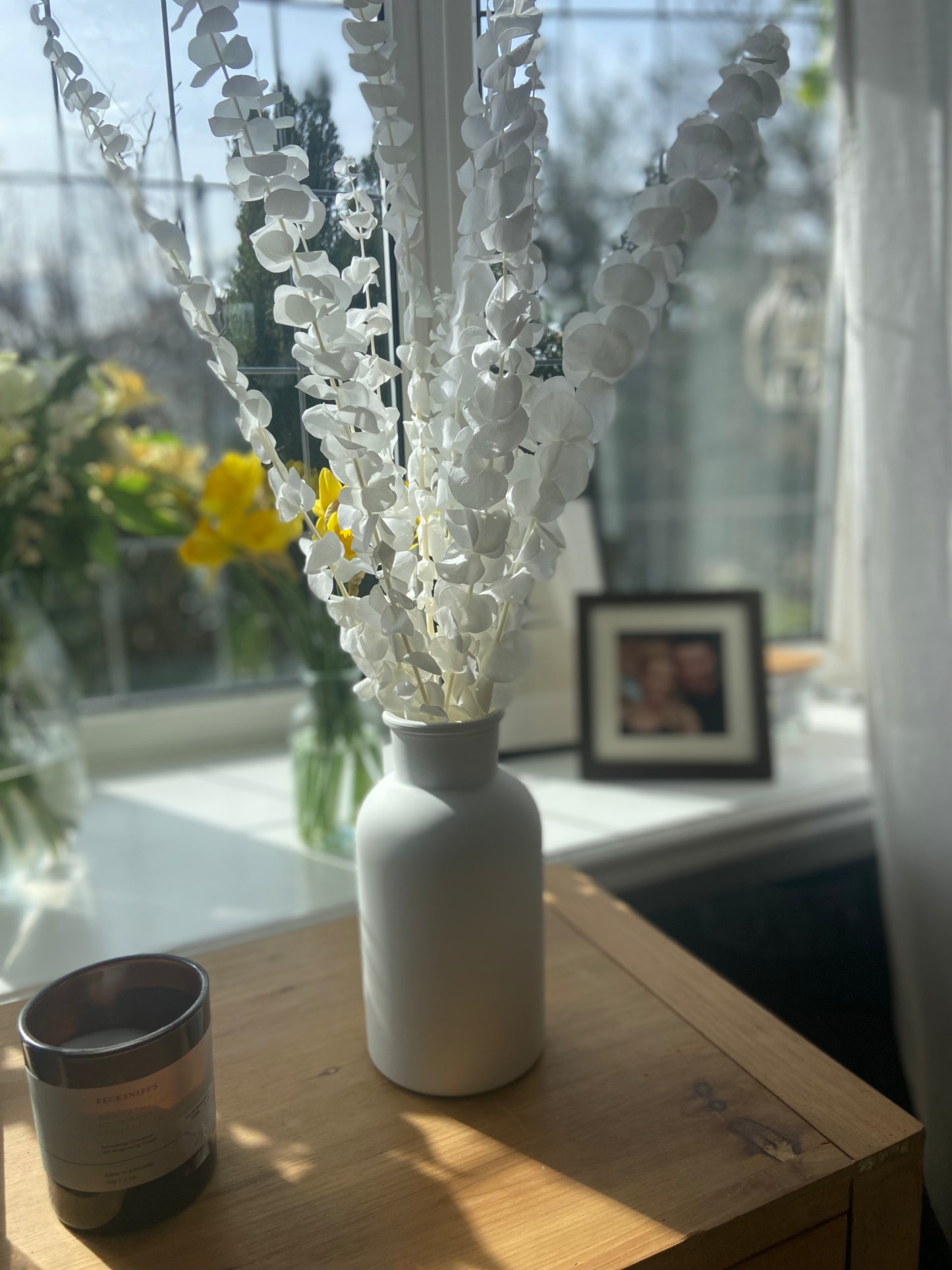 Eucalyptus Stems