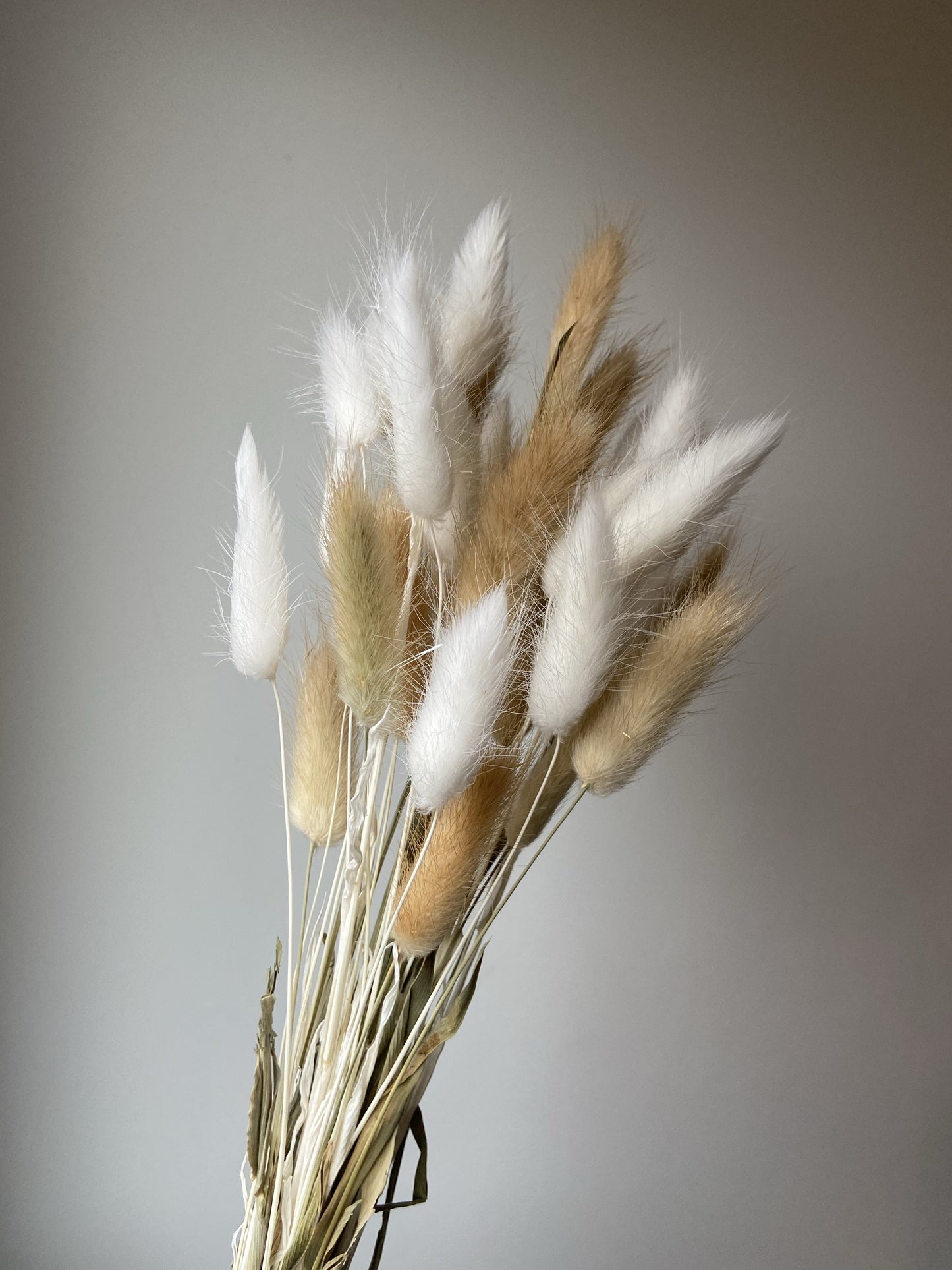 Bleached & Natural Bunny Tails