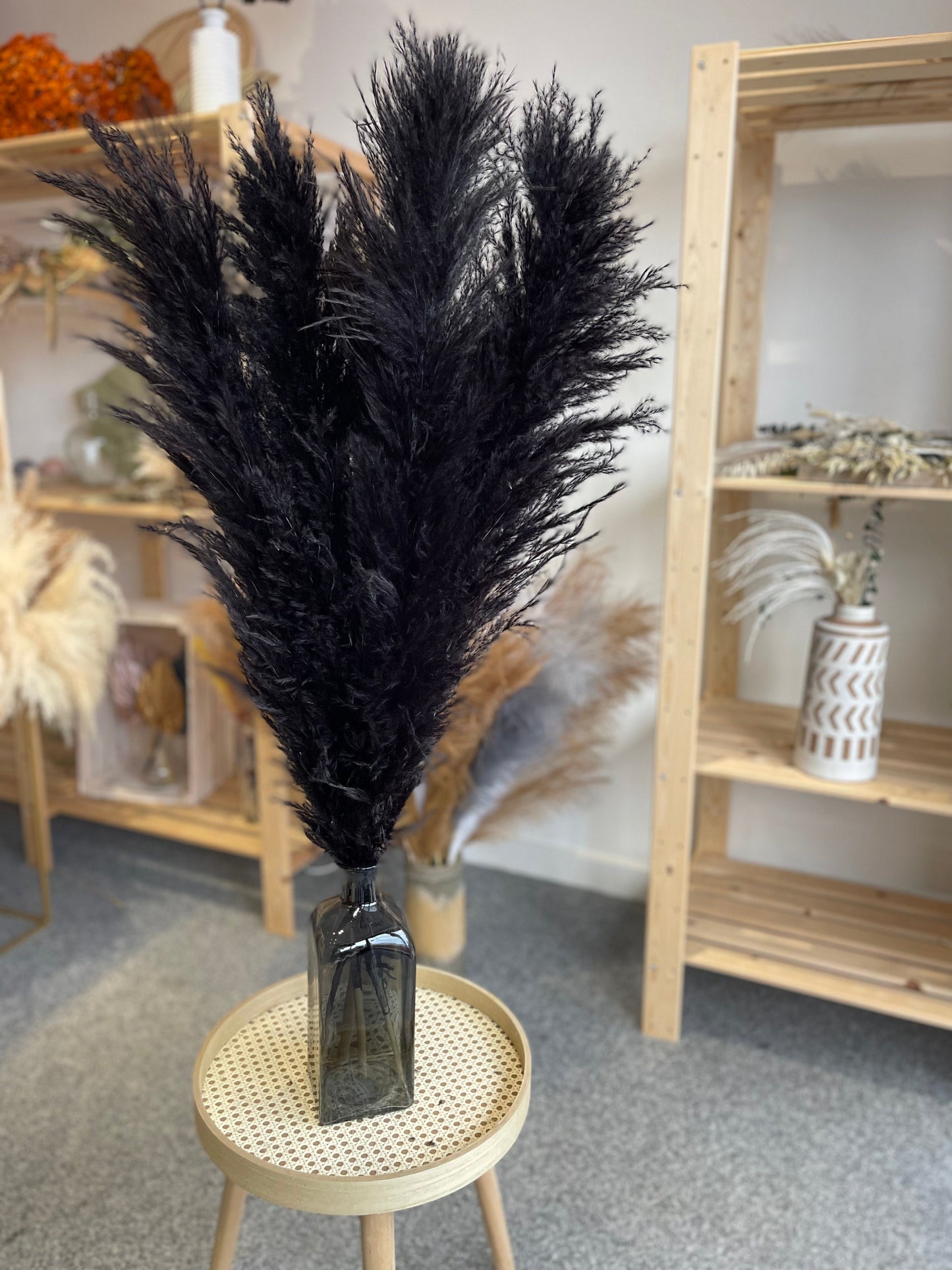 Large Black Pampas