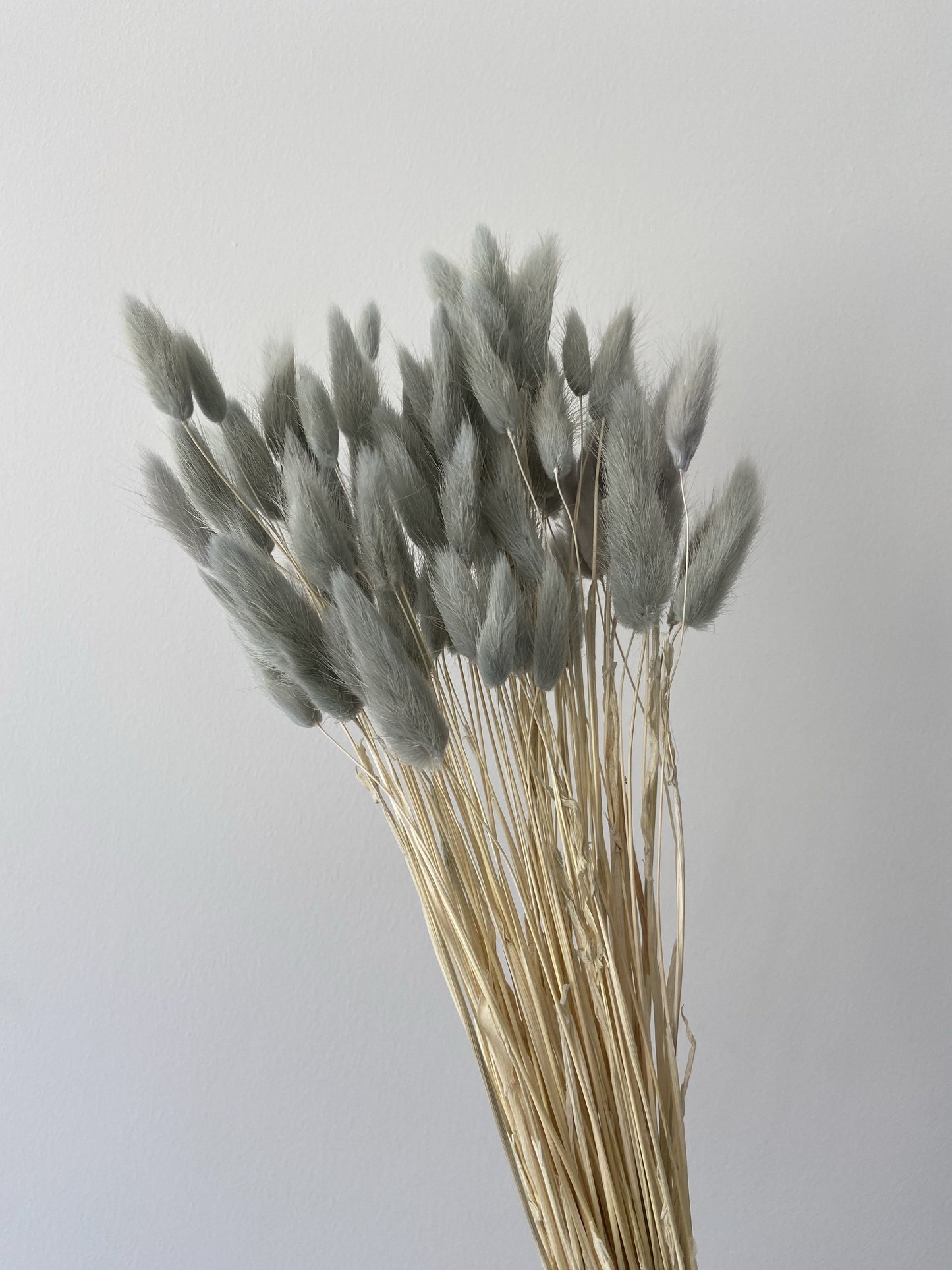 Aqua Grey Bunny Tails