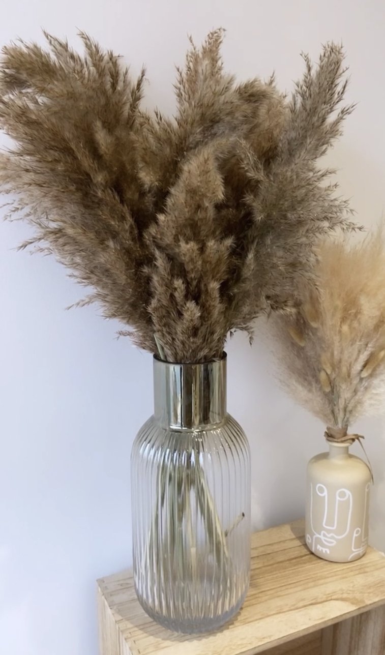 Brown - Wild Fluffy Pampas