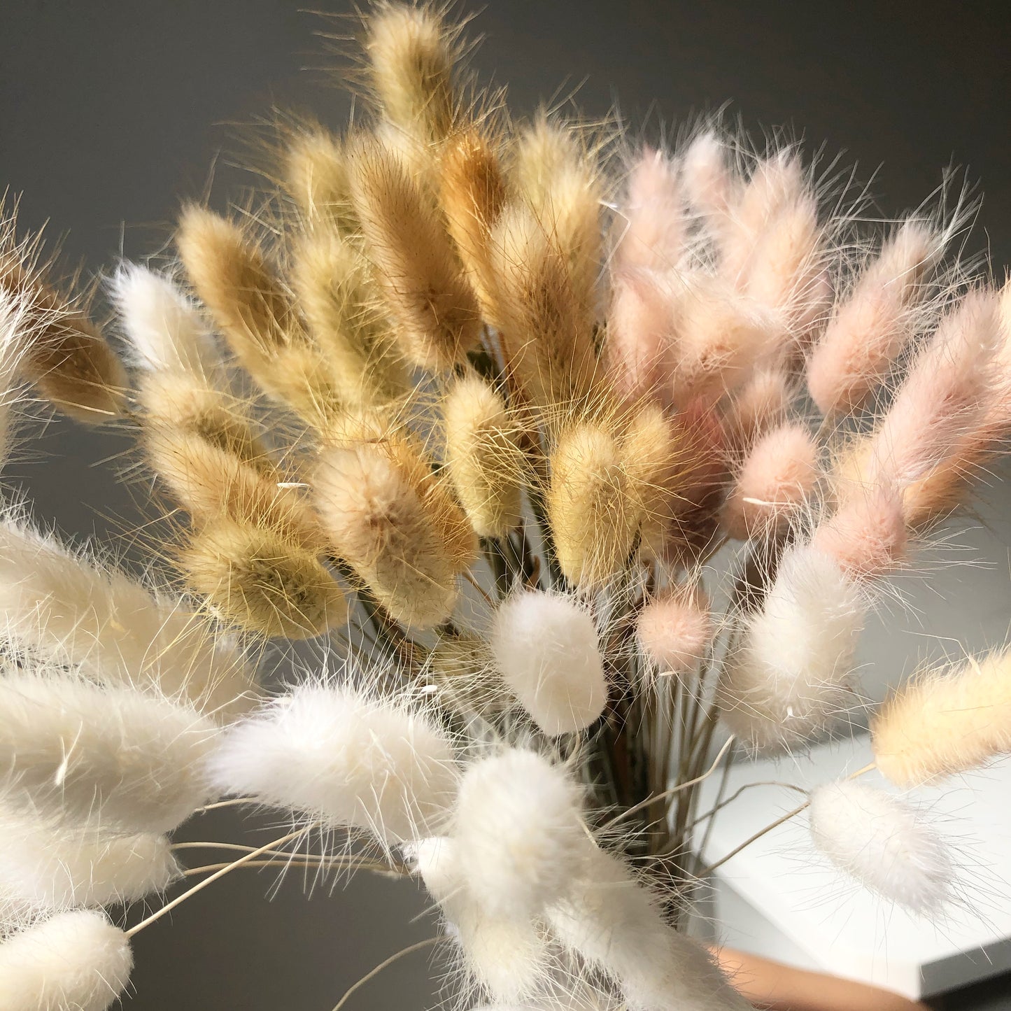Bleached White, Natural & Pale Pink Bunny Tails
