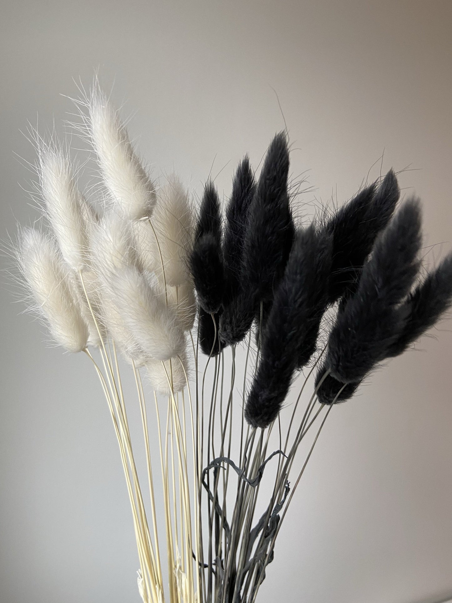 White & Black Bunny Tails