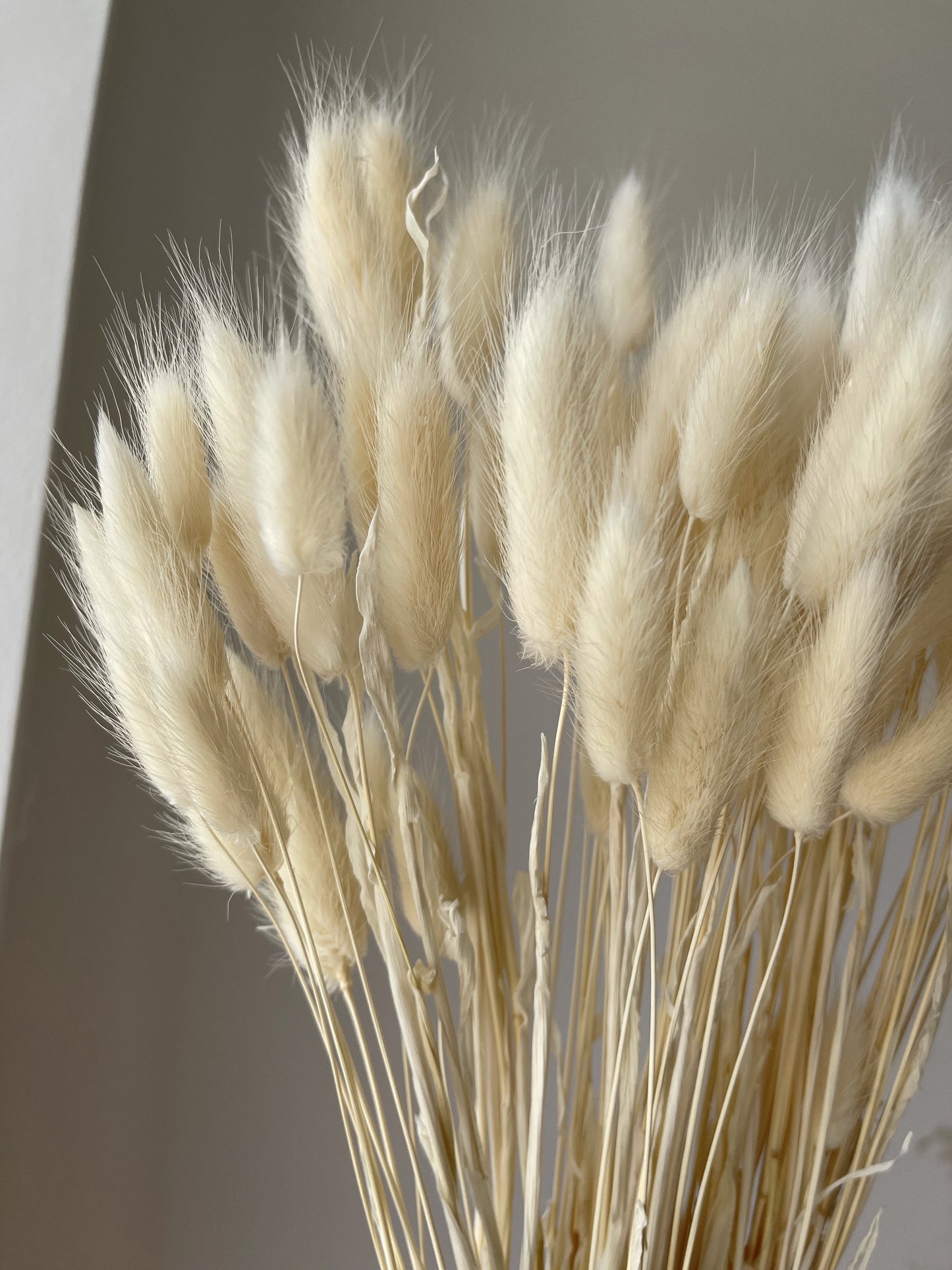 Vanilla Cream Bunny Tails