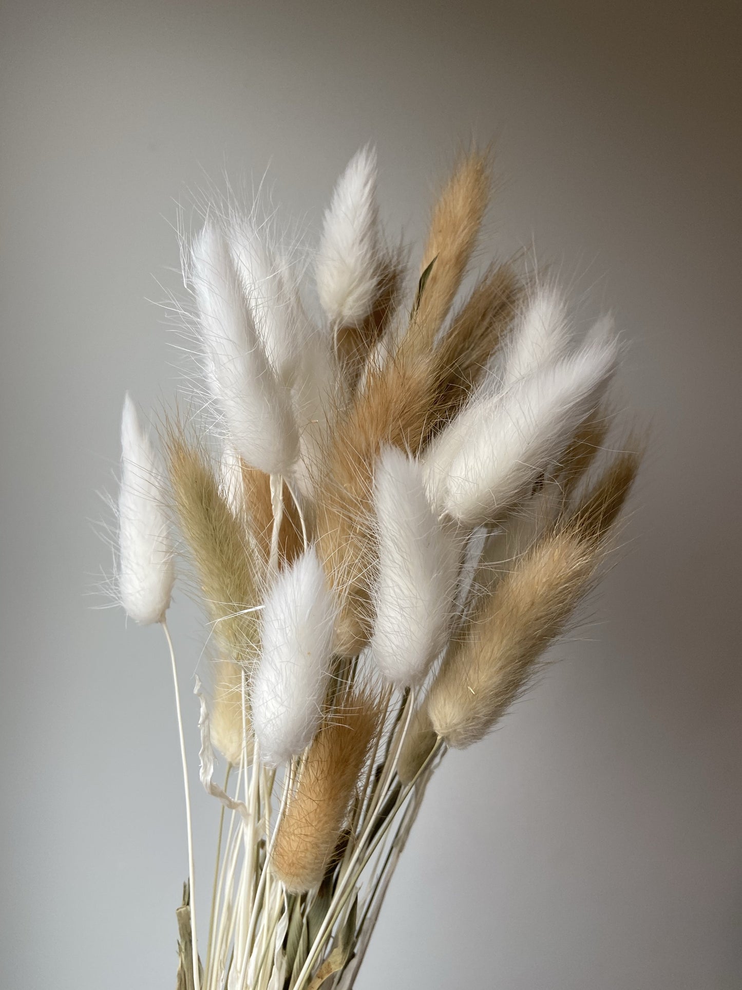 Bleached & Natural Bunny Tails