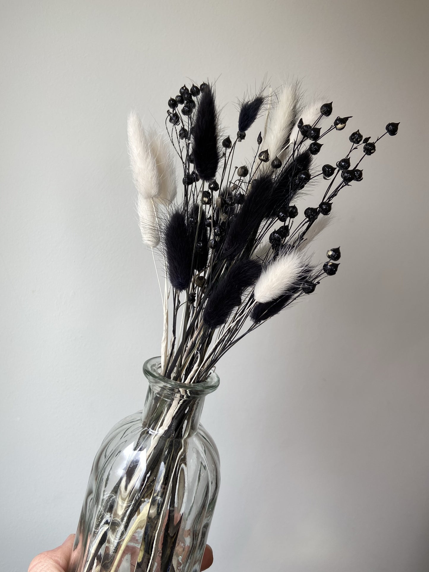 Monochrome Mini Bundle