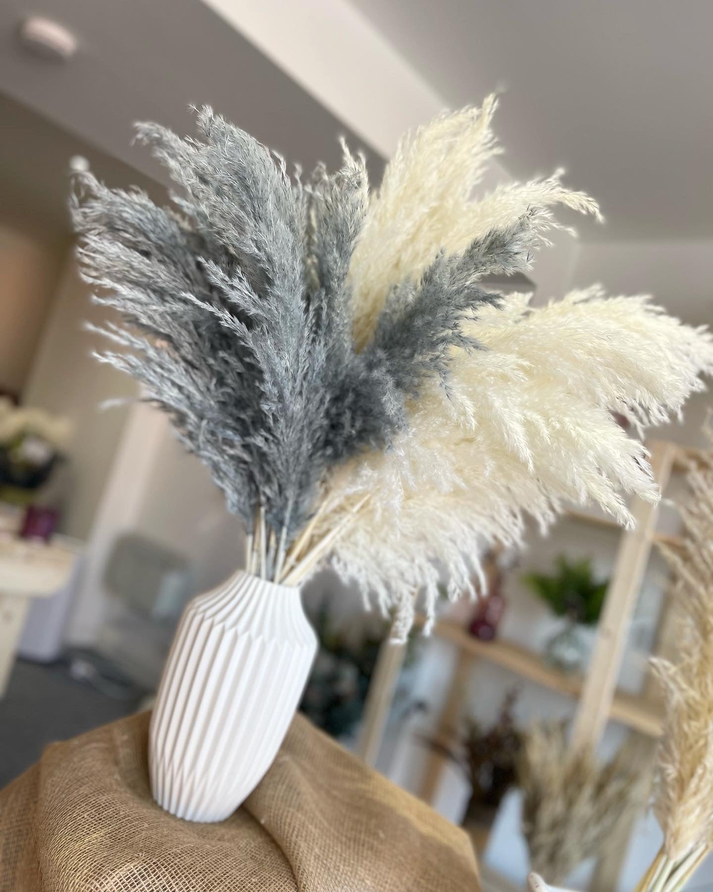 Wild Fluffy Pampas - White & Grey