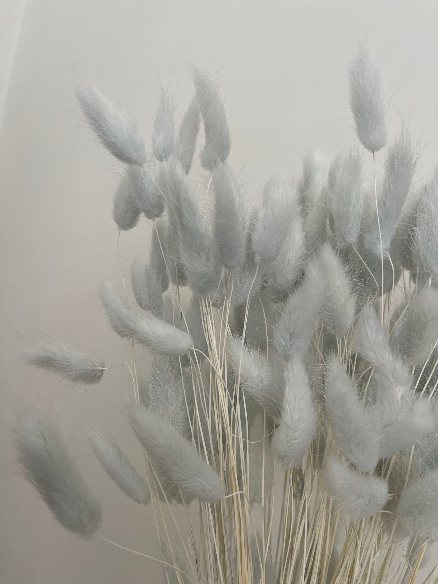 Light Grey Bunny Tails