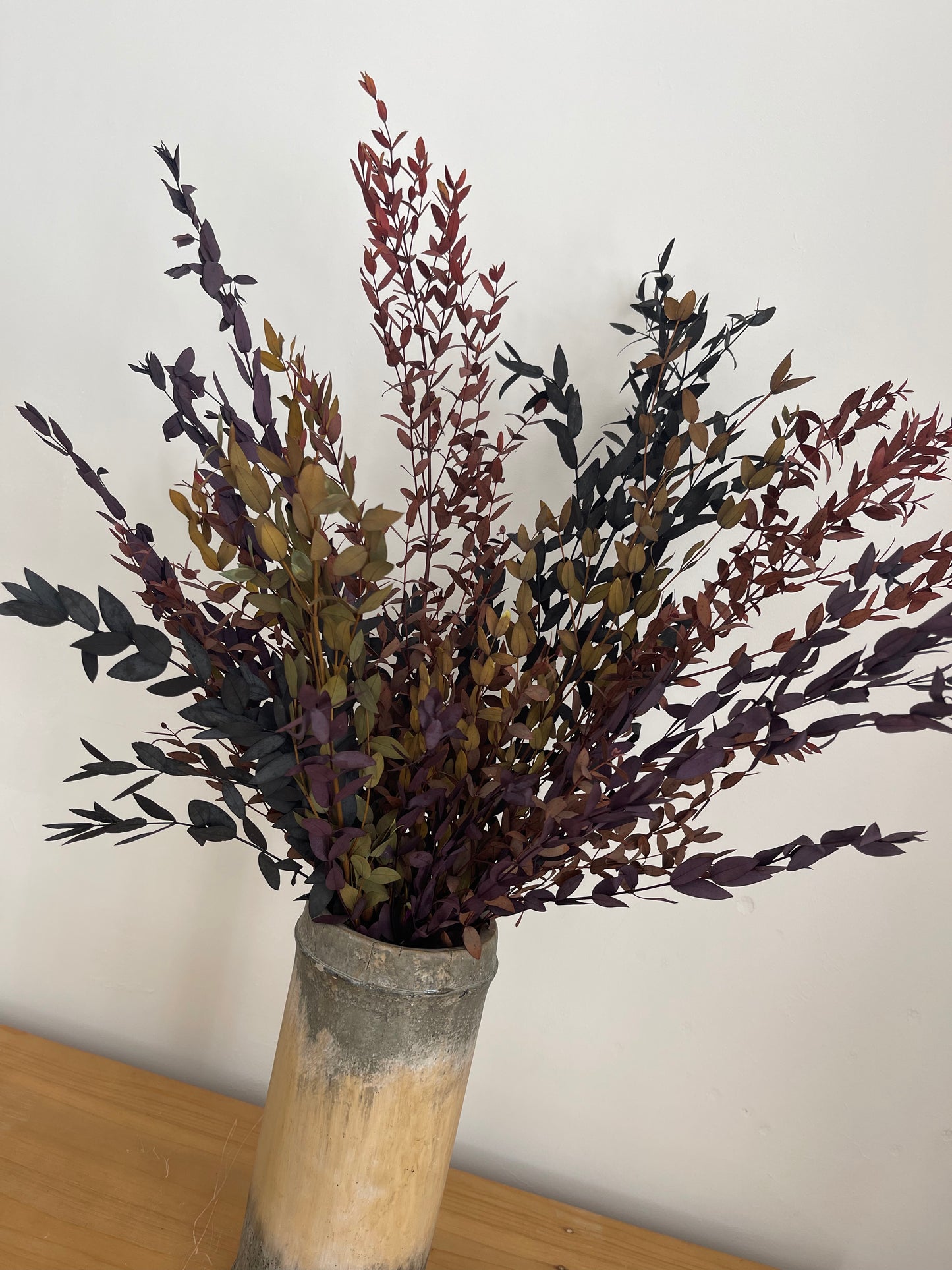 Preserved Eucalyptus Bunch