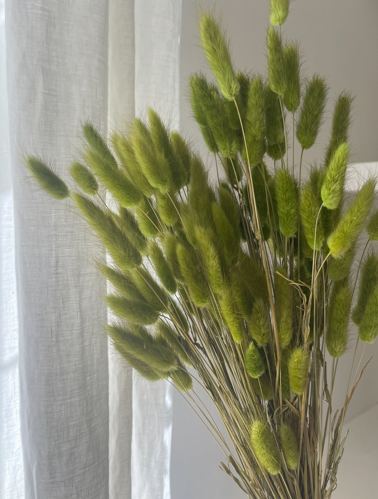 Autumn Moss Green Bunny Tails