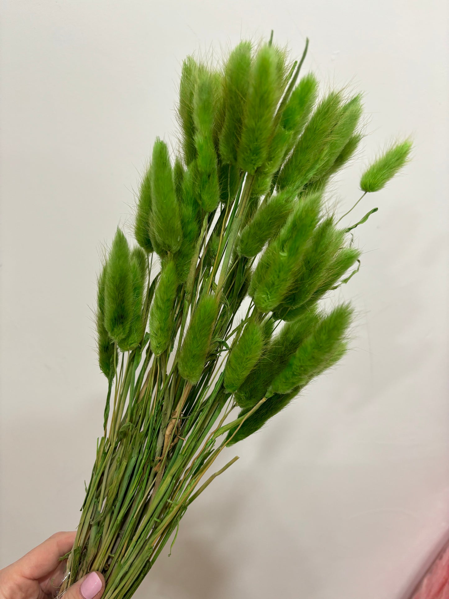 Green Bunny Tails