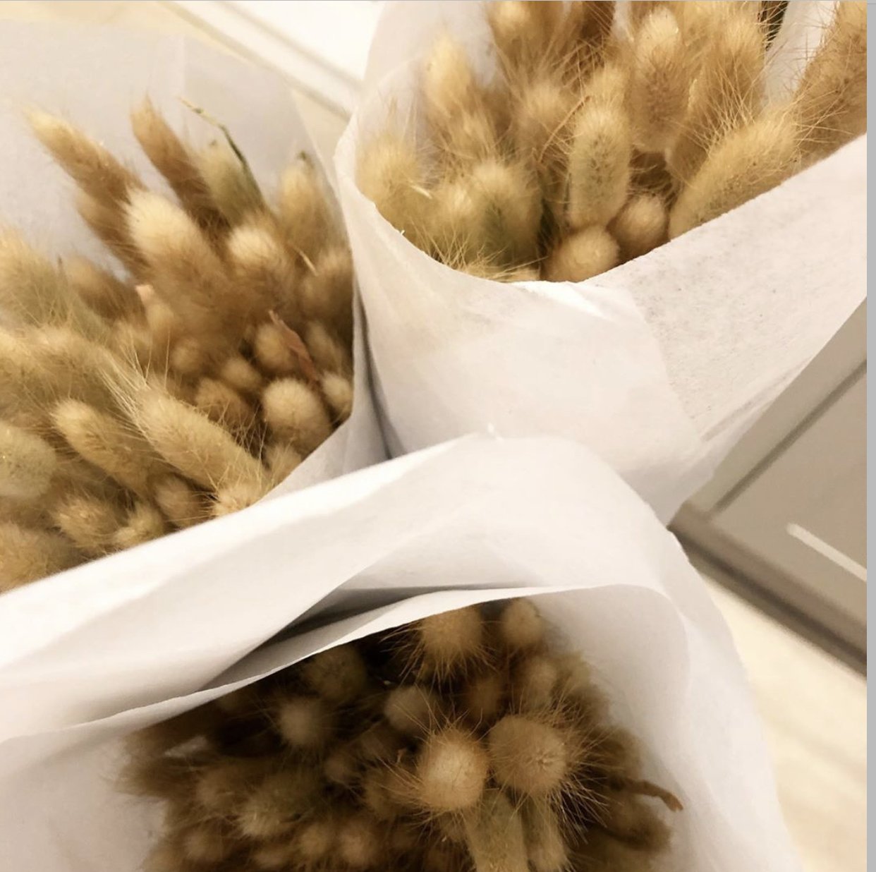 Natural Bunny Tails