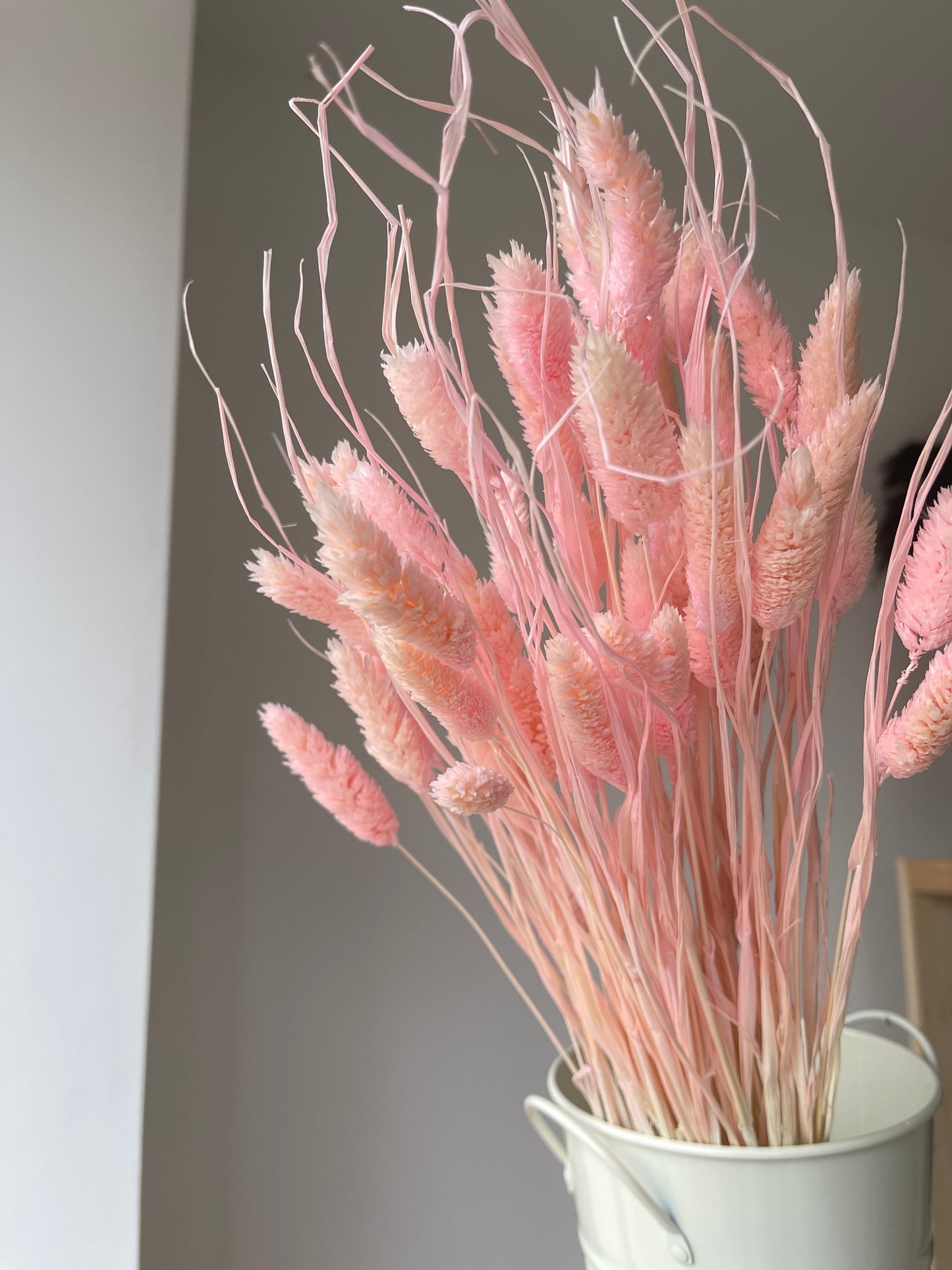 Pale Pink Gem Grass