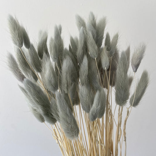 Aqua Grey Bunny Tails
