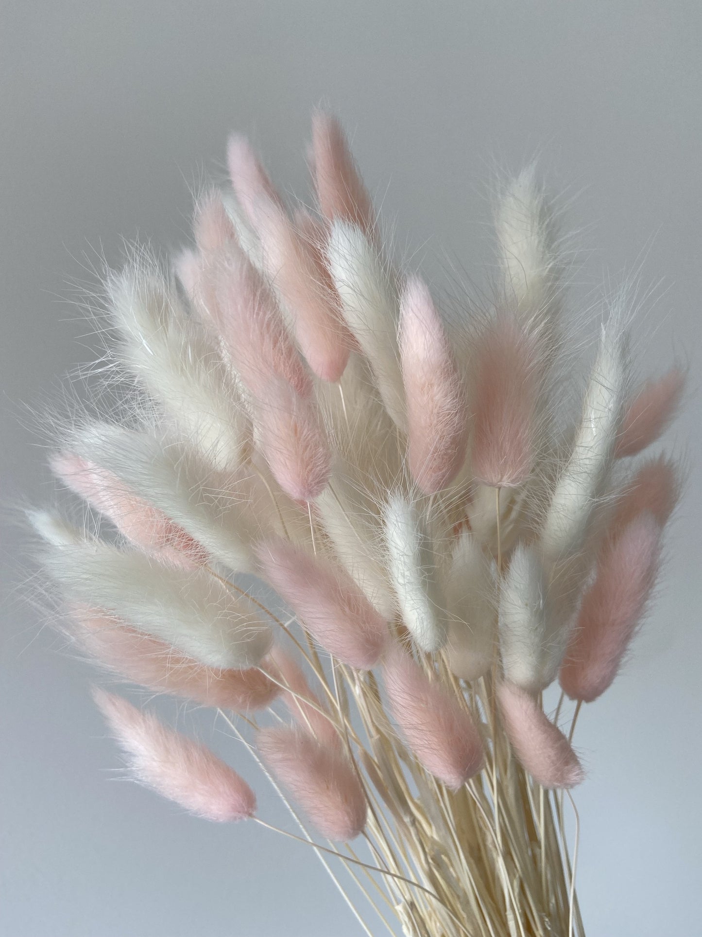 White & Light Pink Bunny Tails