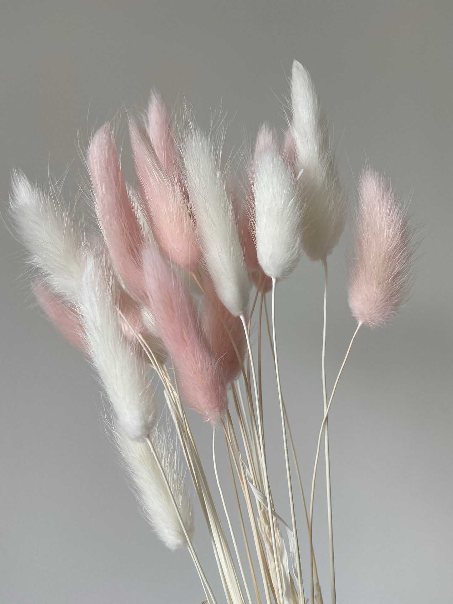 White & Light Pink Bunny Tails