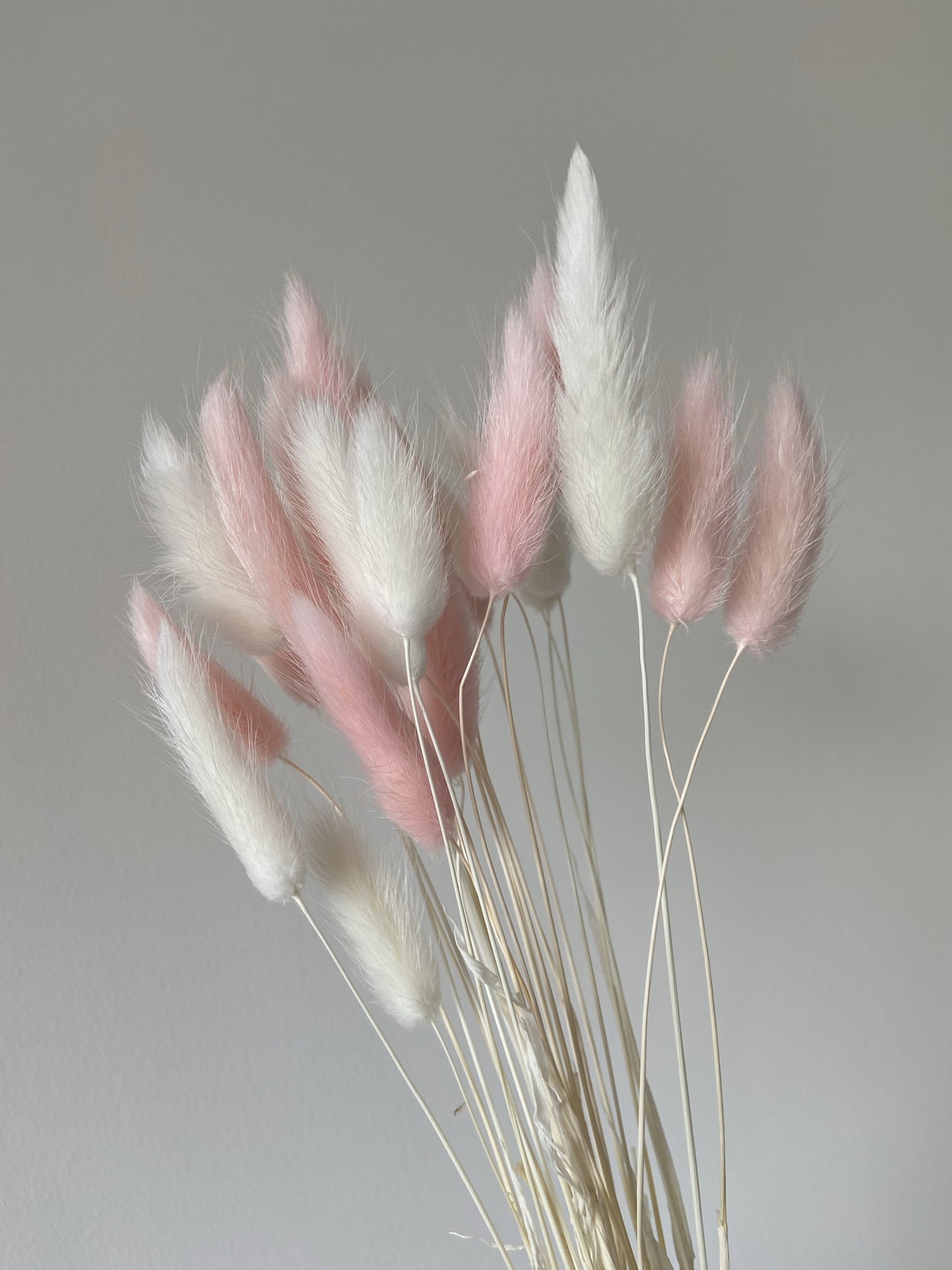 White & Light Pink Bunny Tails