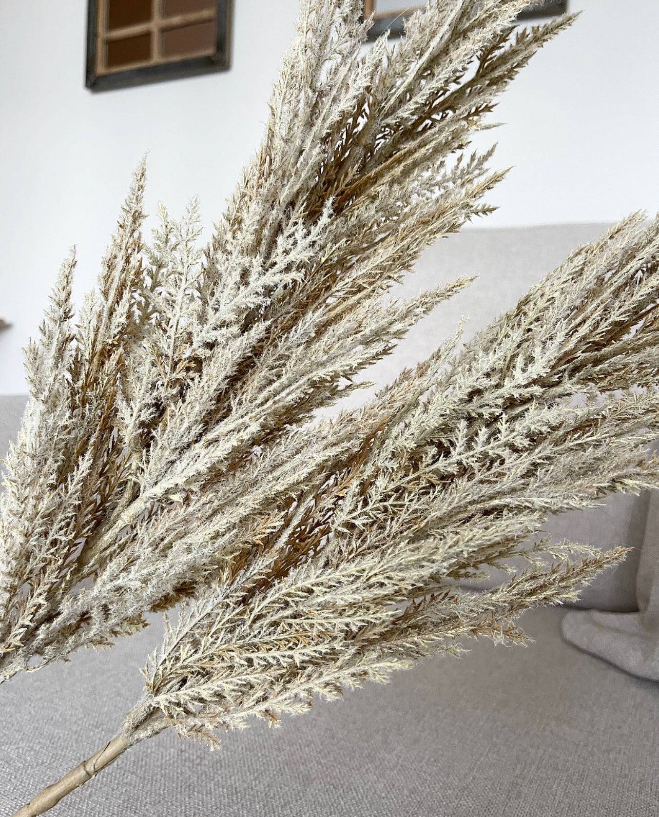 Faux Pampas Grass Stem