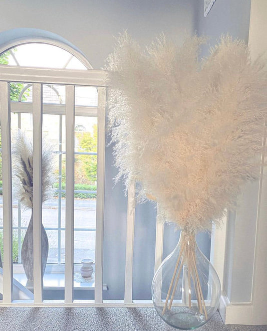 Large white fluffy pampas. Style in a large floor vase or on a console table as a statement piece.