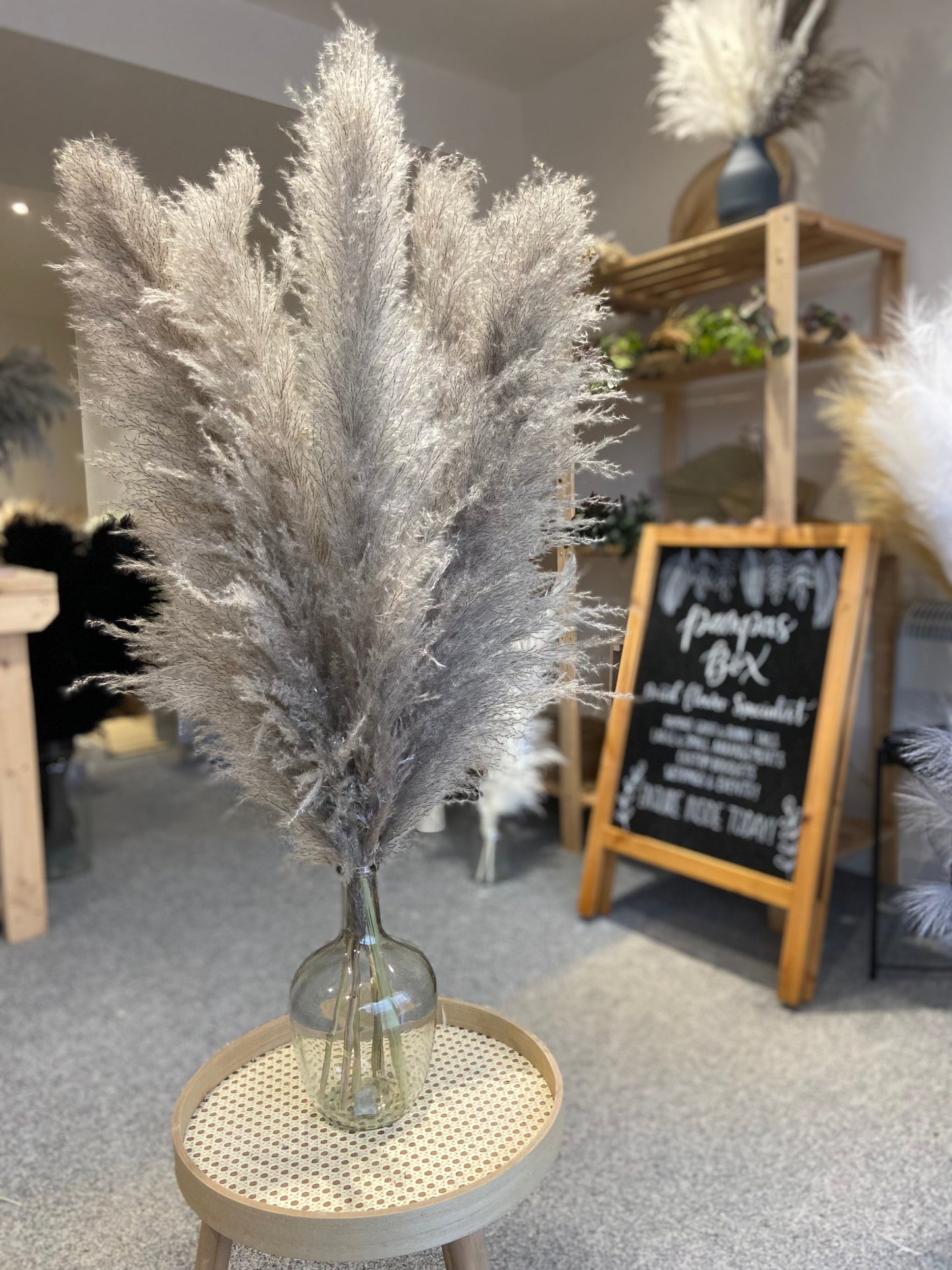 Large white fluffy pampas. Style in a large floor vase or on a console table as a statement piece.