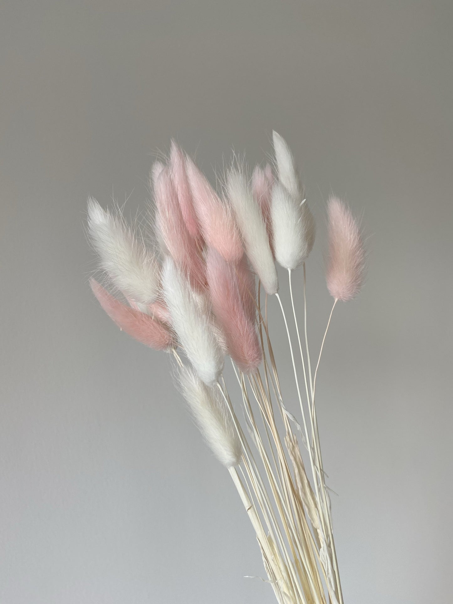 White & Light Pink Bunny Tails