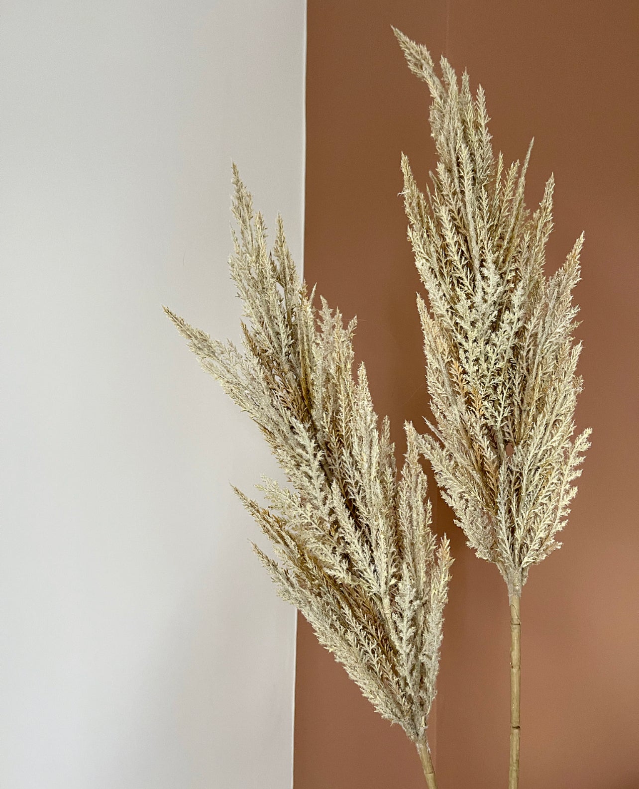 Faux Pampas Grass Stem